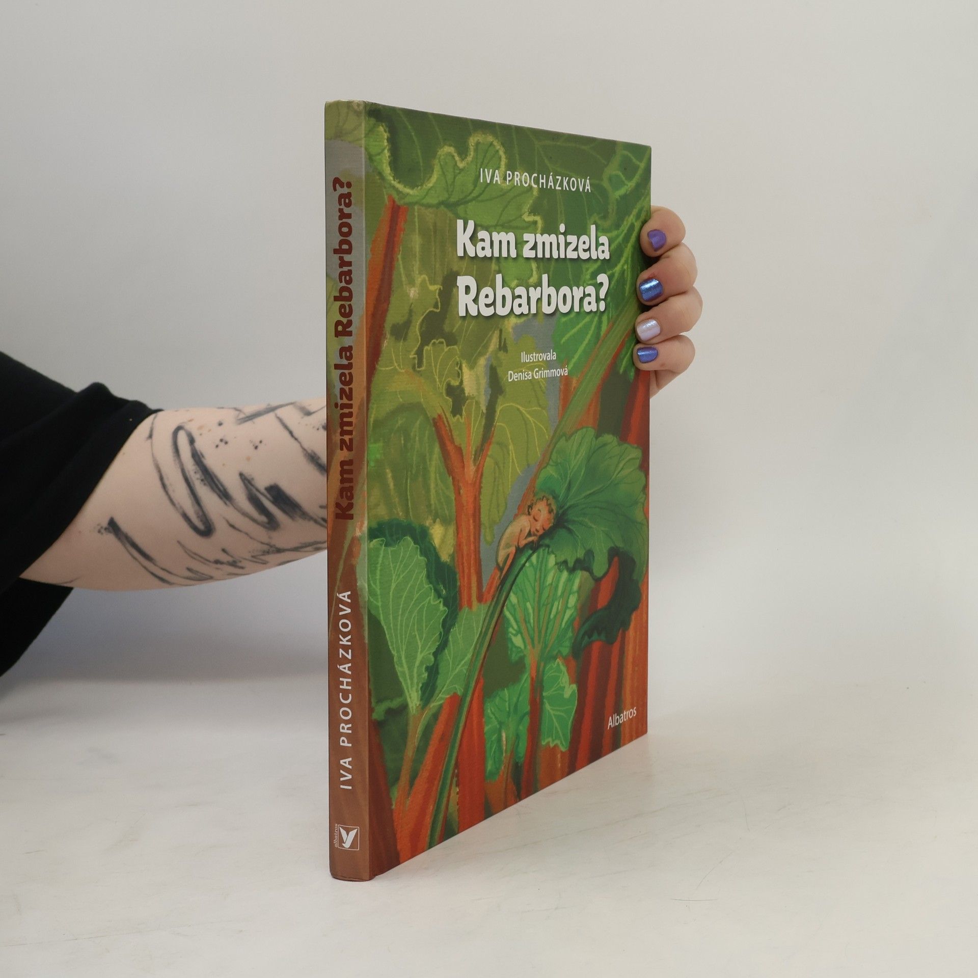 Iva Procházková Kam zmizela Rebarbora?