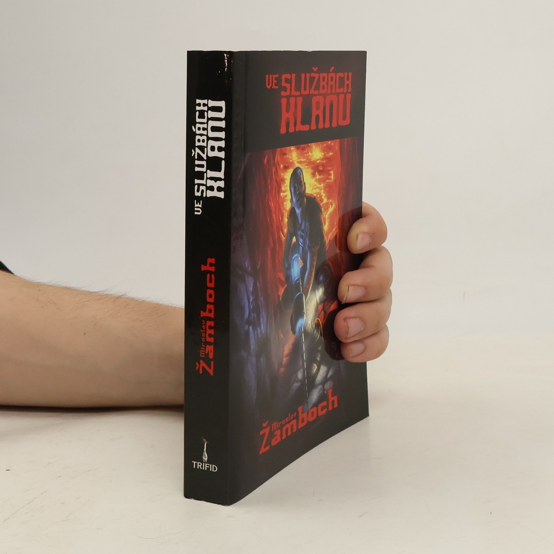 Miroslav Žamboch Ve službách klanu