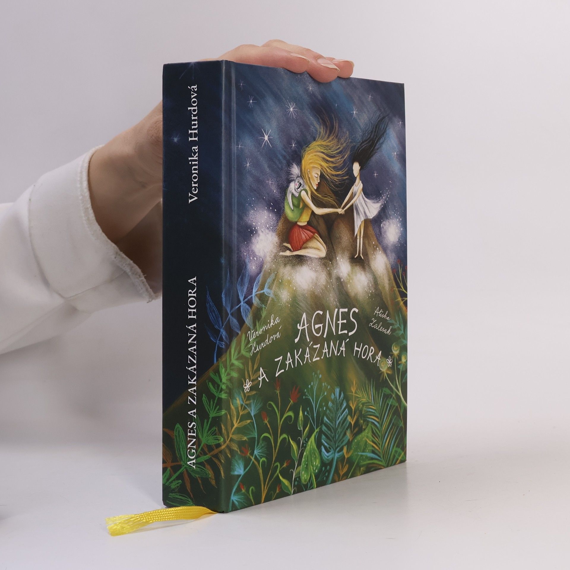 Veronika Hájek Hurdová Agnes a Zakázaná hora
