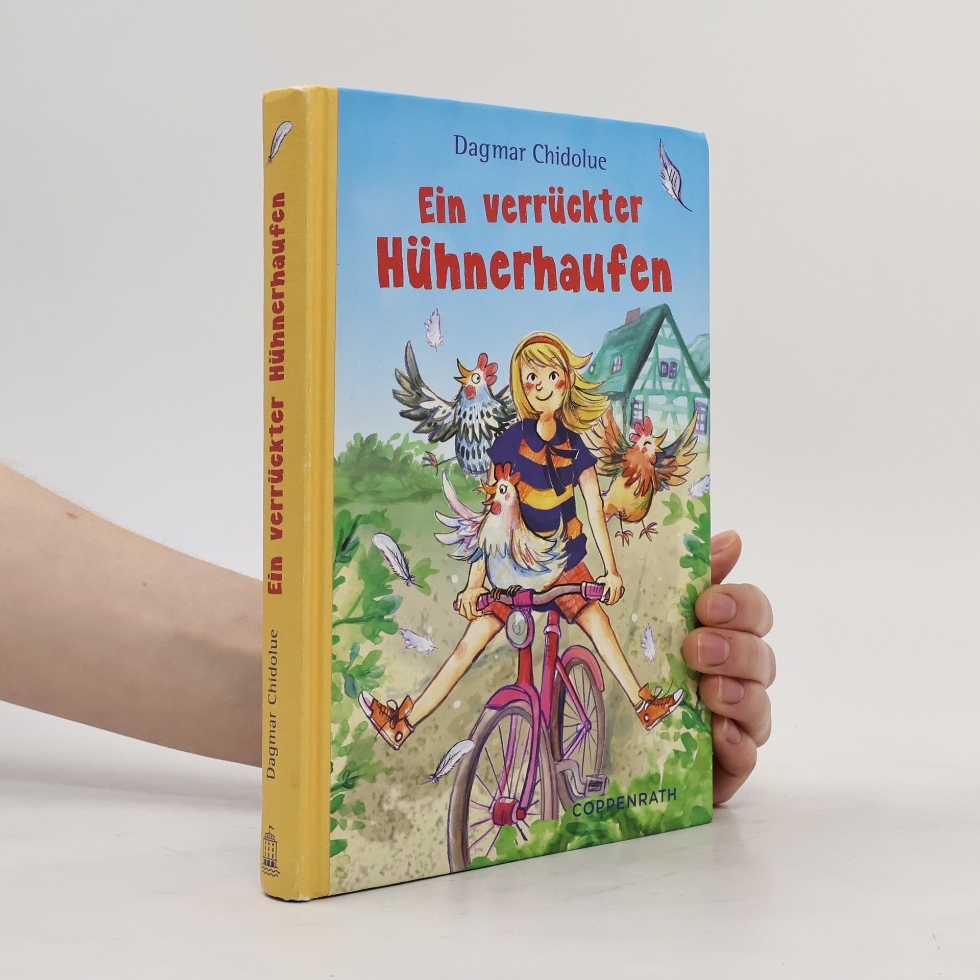 Dagmar Chidolue Ein verrückter Hühnerhaufen