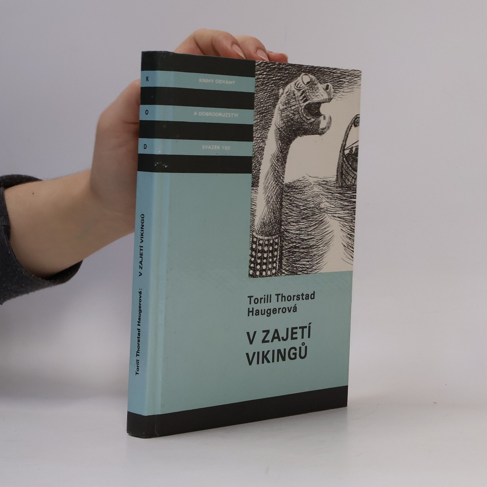 V zajetí vikingů
