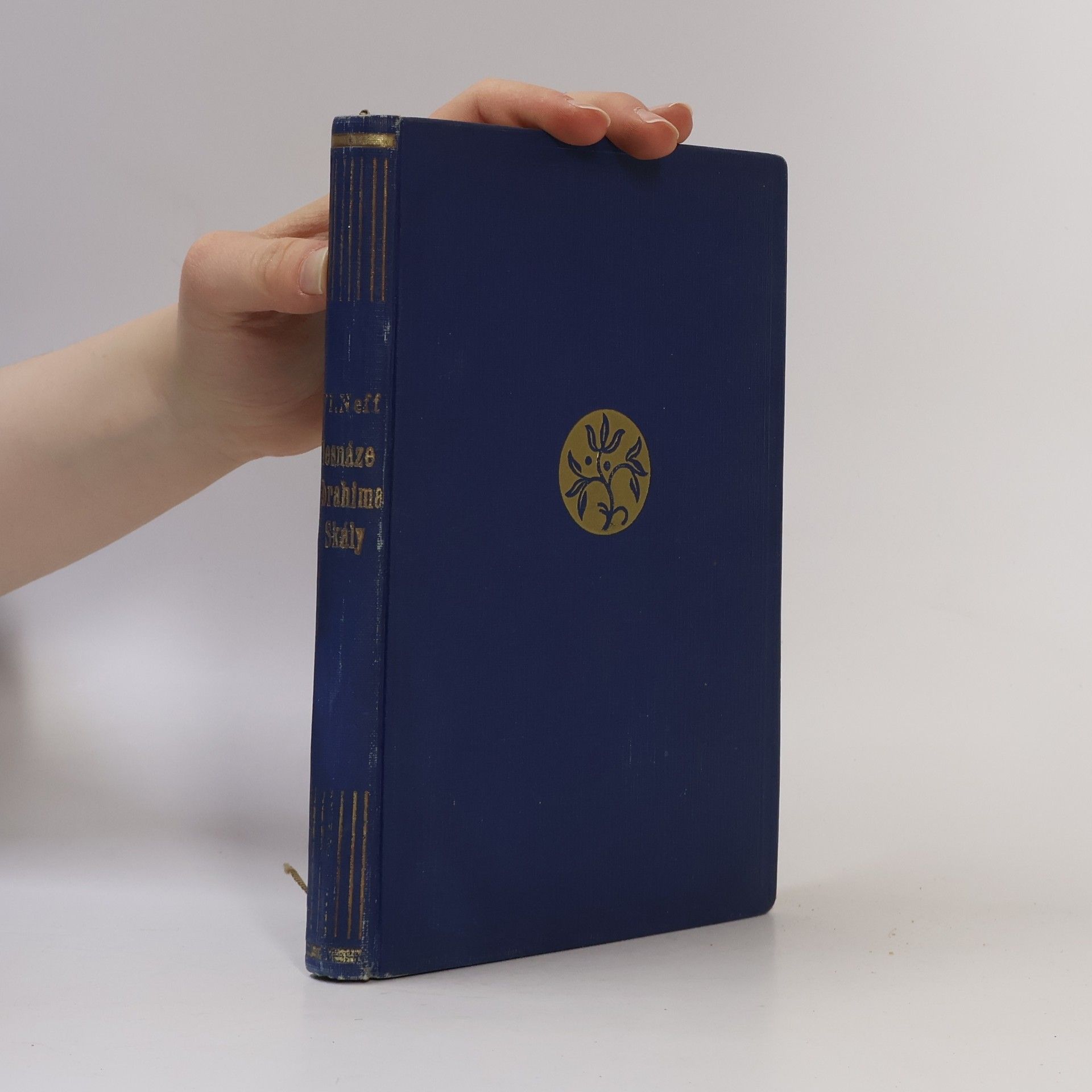 Vladimír Neff Nesnáze Ibrahima Skály