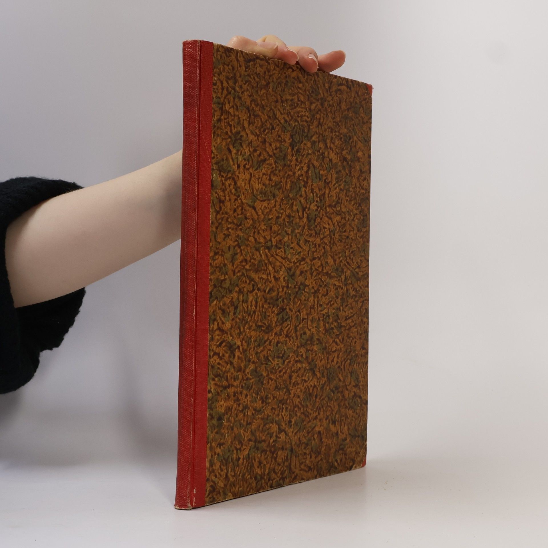 Autorenkollektiv Mladá stráž. Časopis pro mládež. Ročník 8