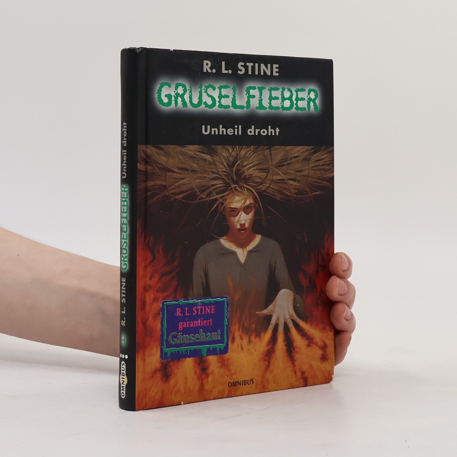 R. L. Stine Gruselfieber. Unheil droht