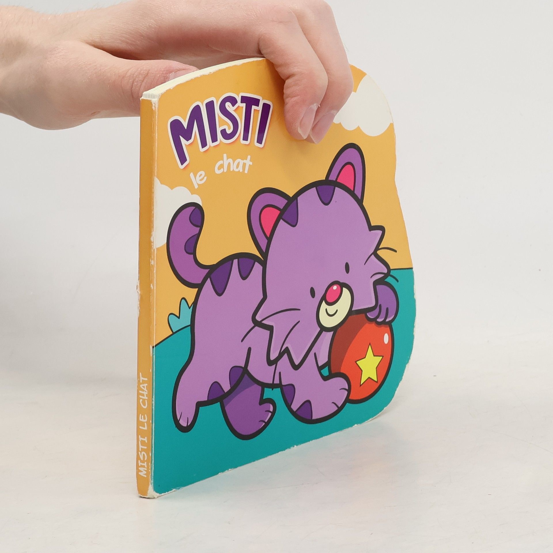 Kolektív autorov Misti le chat