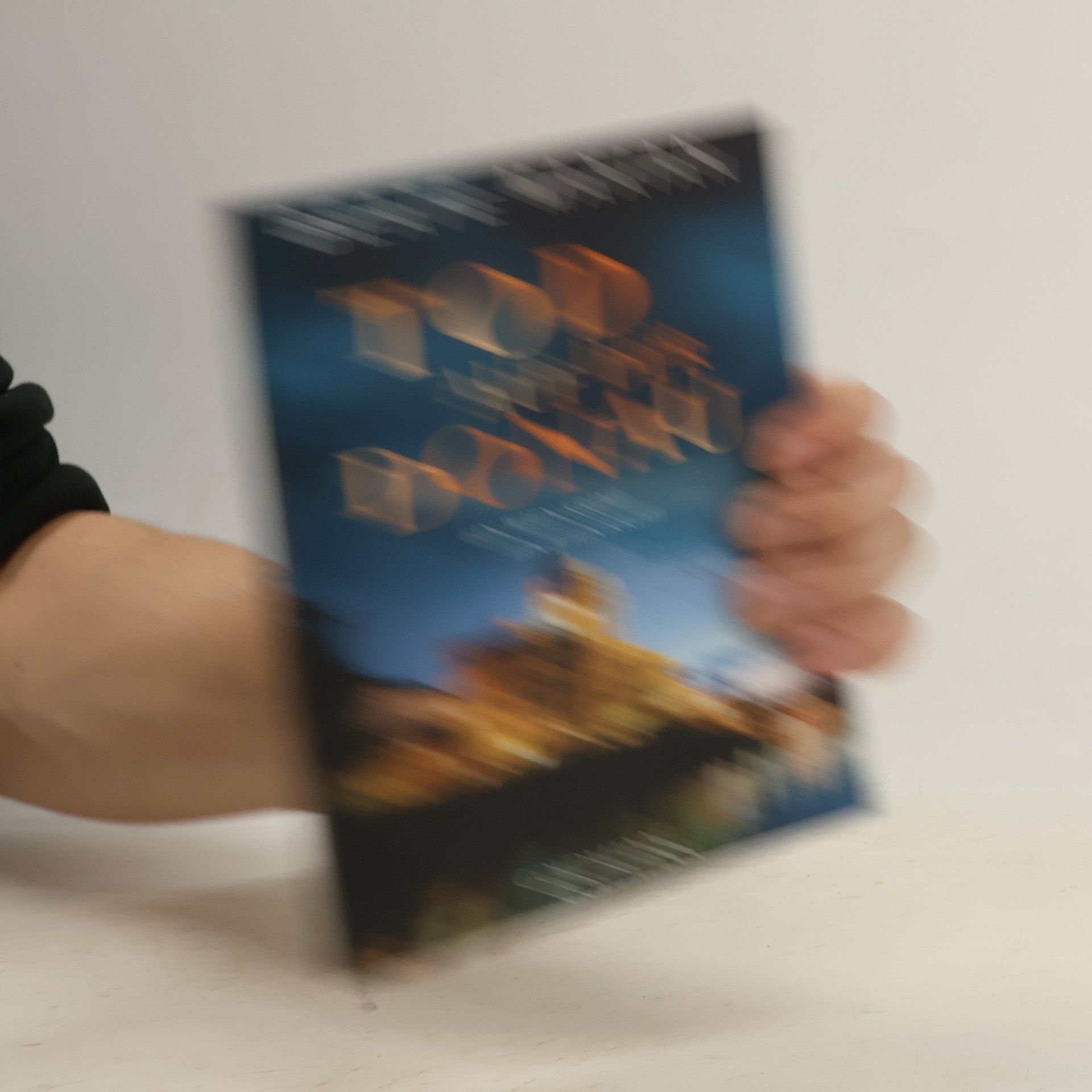 Beate Maxian Tod auf der Donau