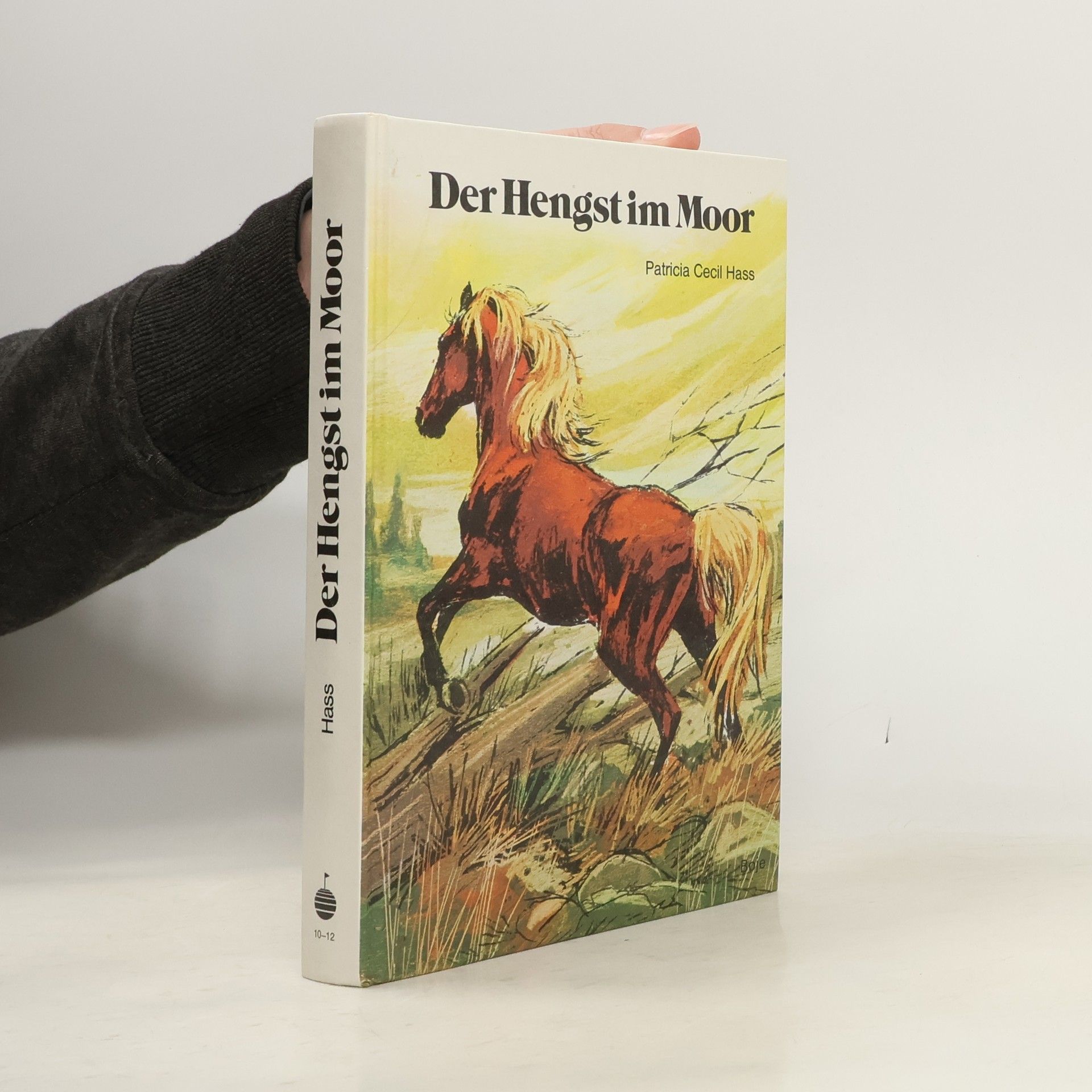 Der Hengst im Moor