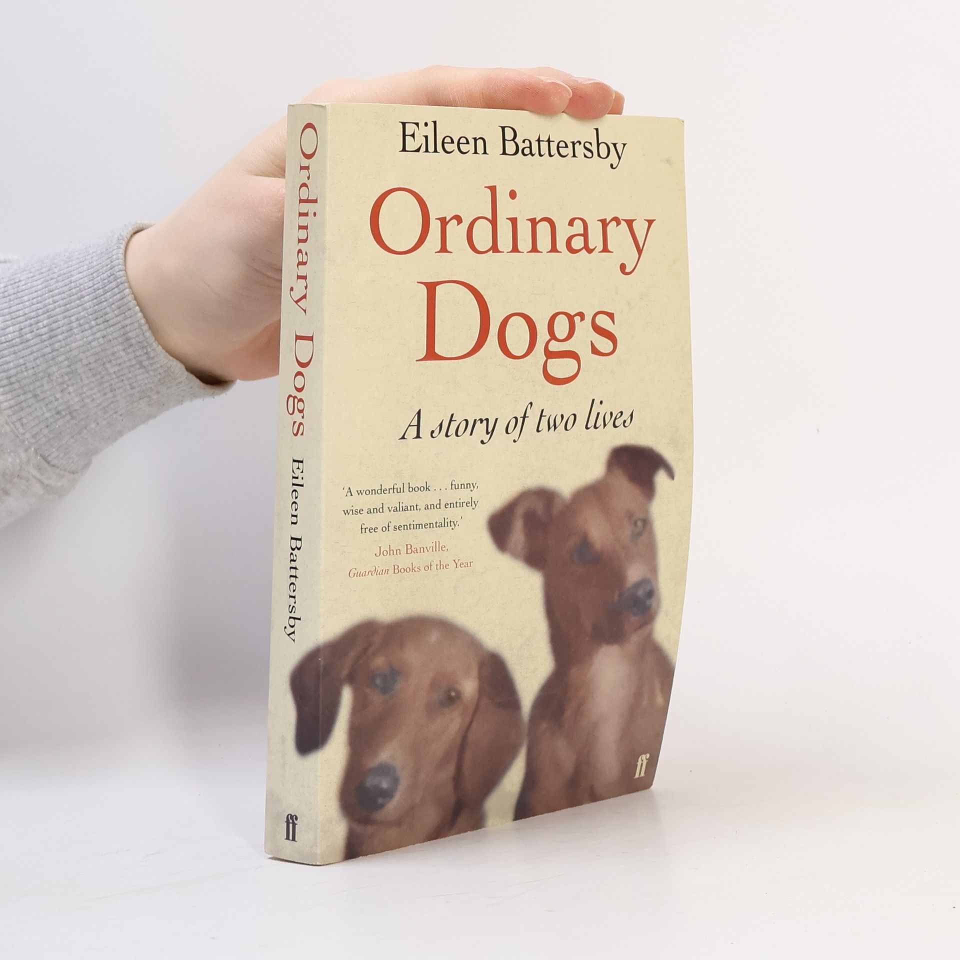 Eileen Battersby Ordinary Dogs