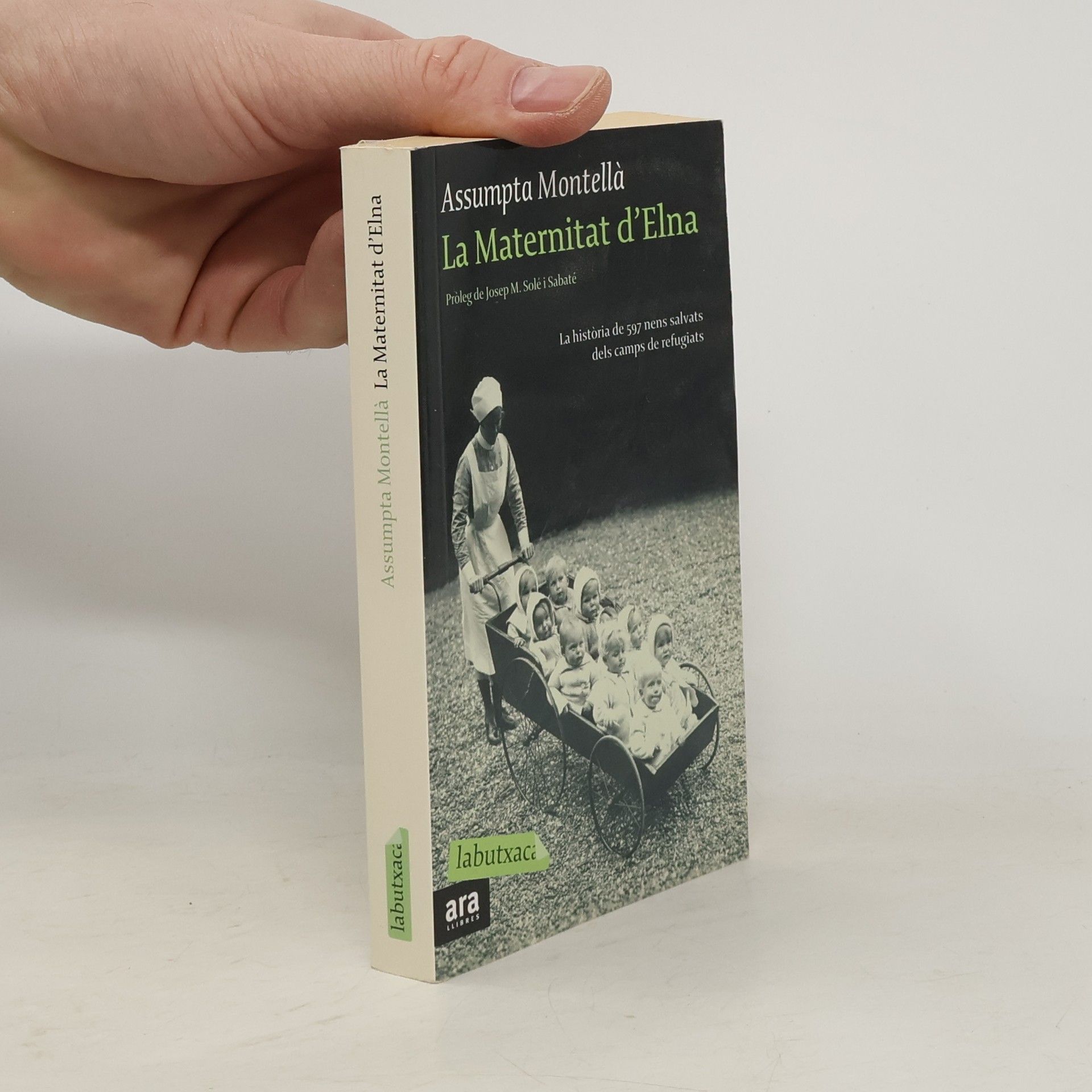 Assumpta Montellà La Maternitat d'Elna