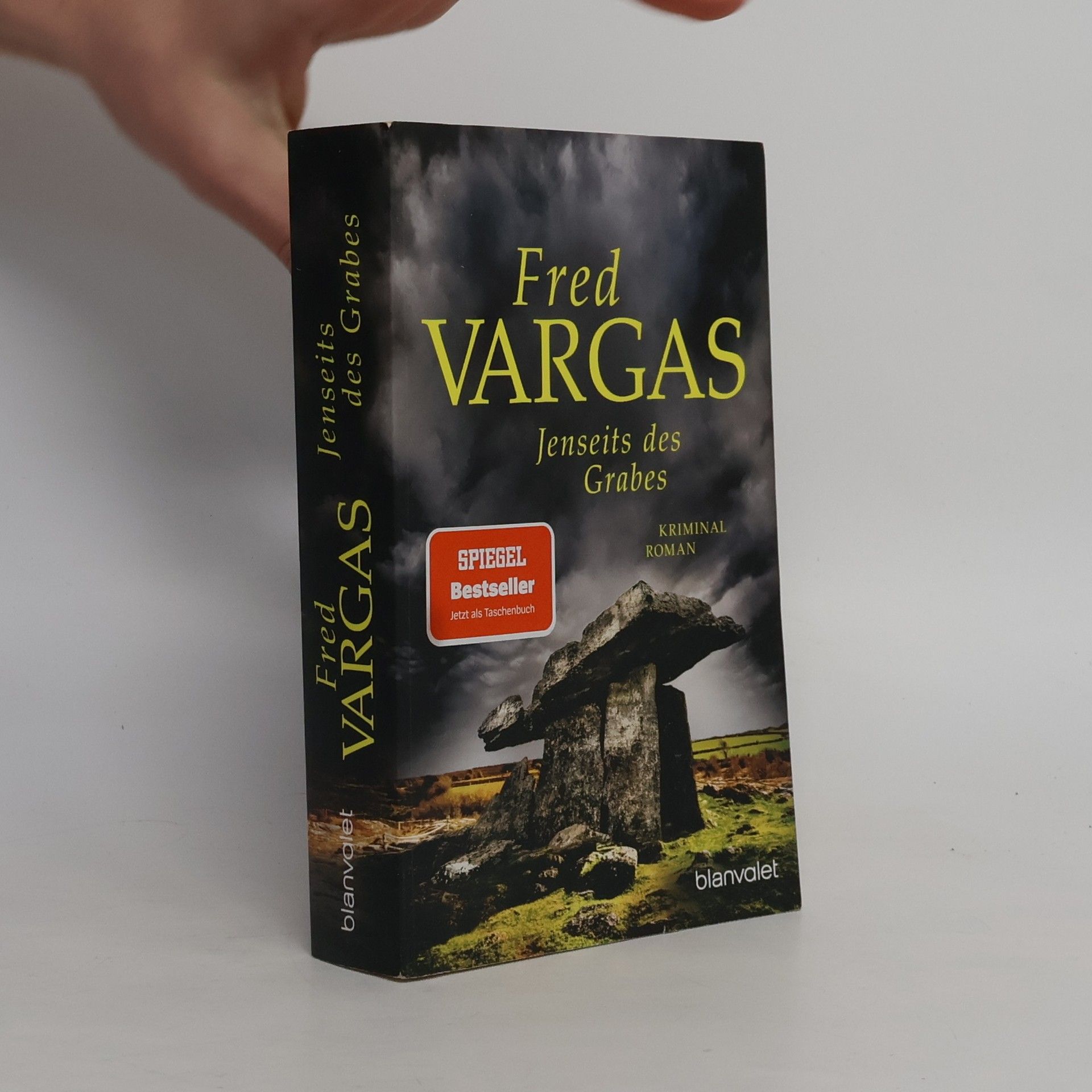 Fred Vargas Jenseits des Grabes