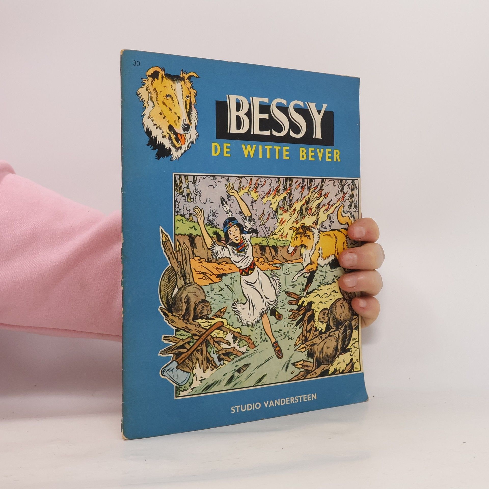 Collectif d'auteurs Bessy. De witte bever