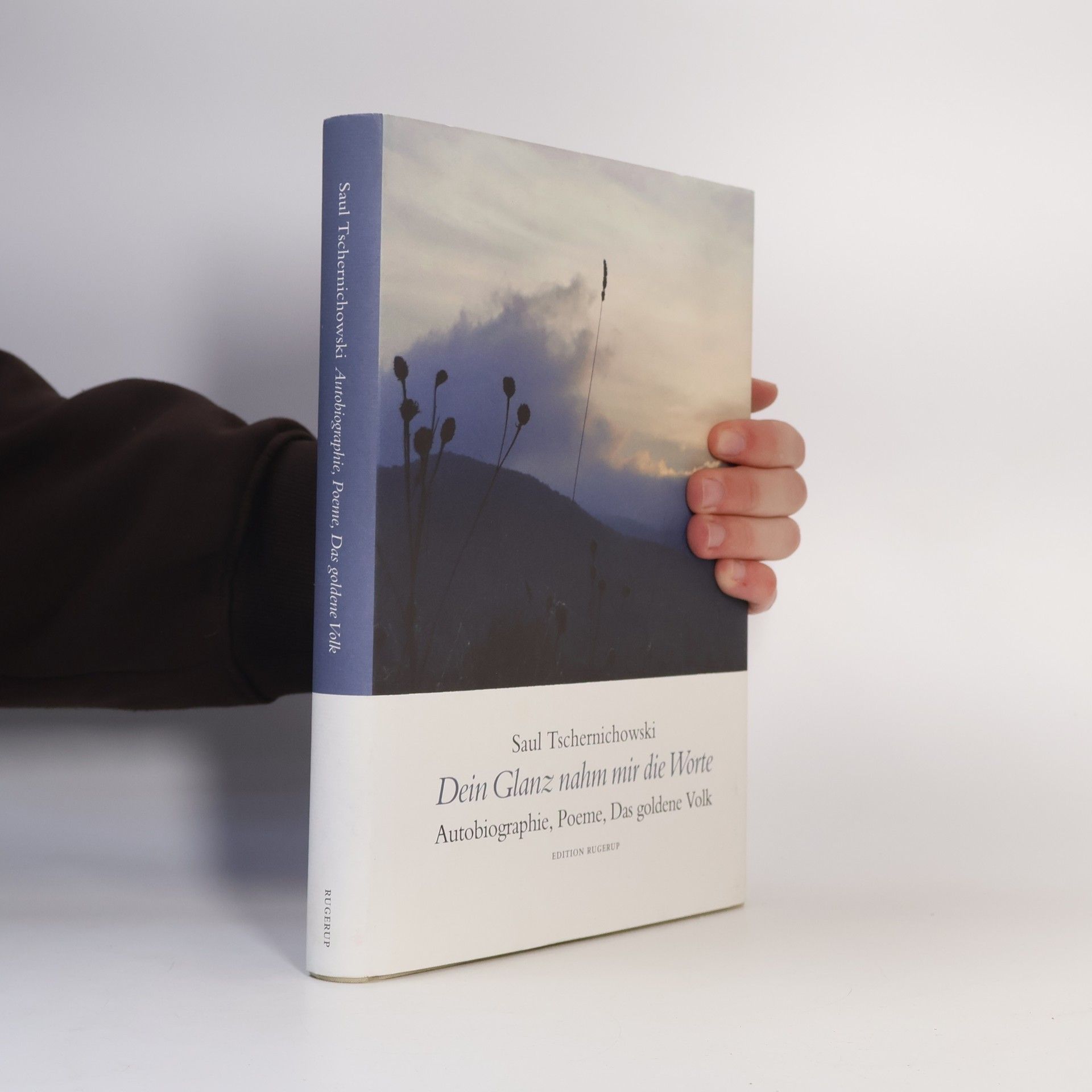 Saul Tschernichowski Dein Glanz nahm mir die Worte