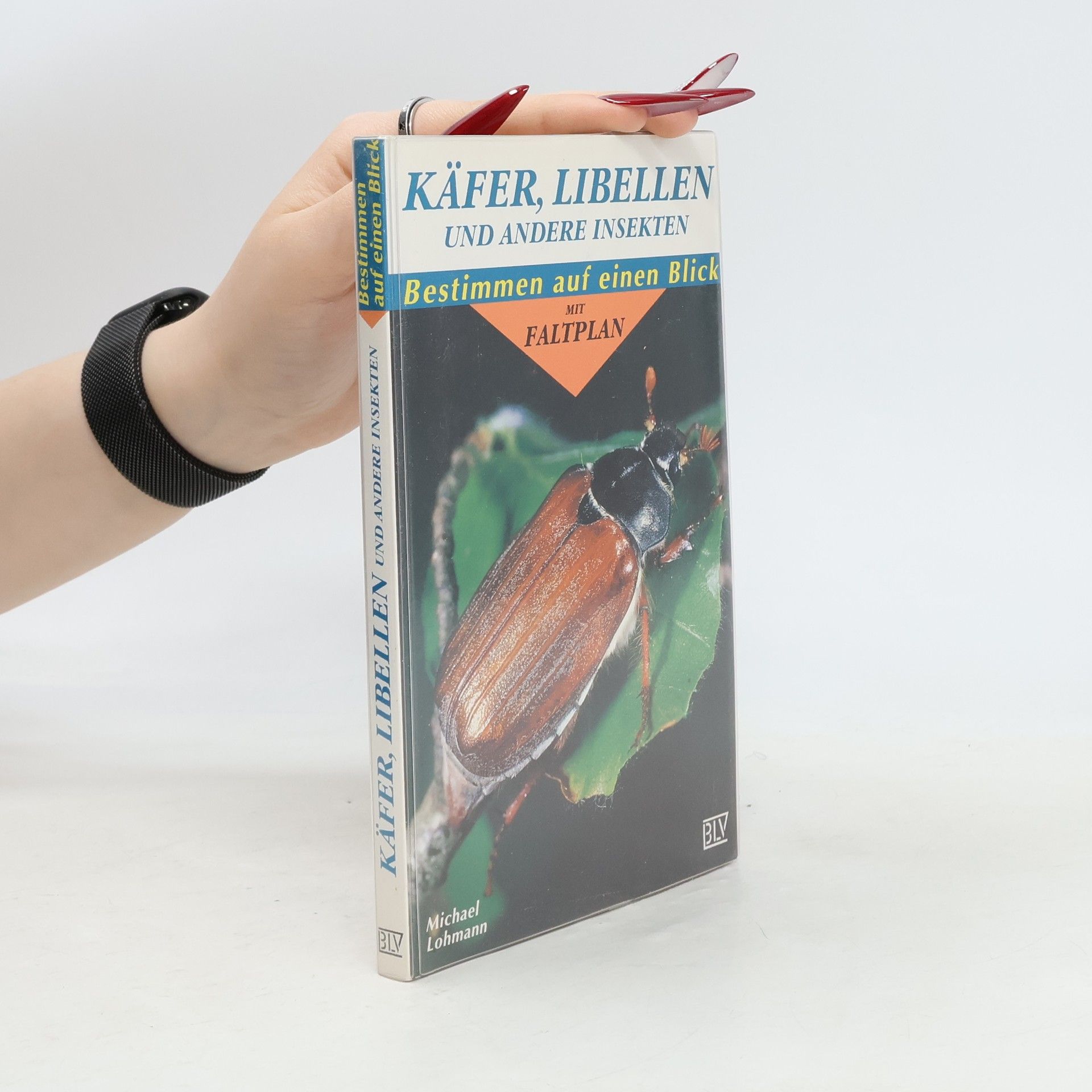 Michael Lohmann Käfer, Libellen und andere Insekten