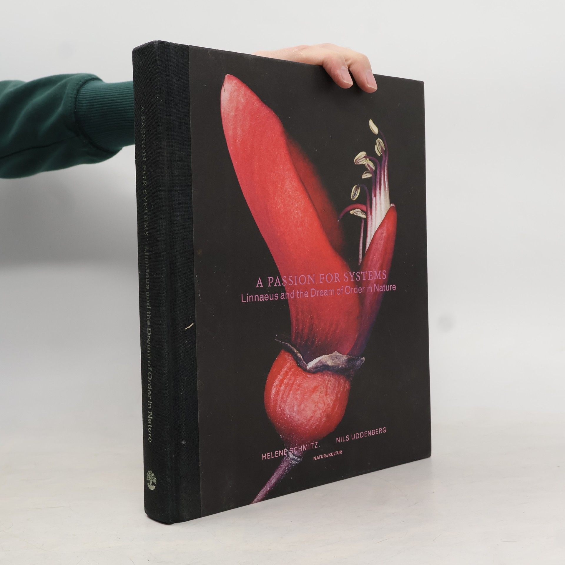 Rachelle Puryear A Passion for Systems