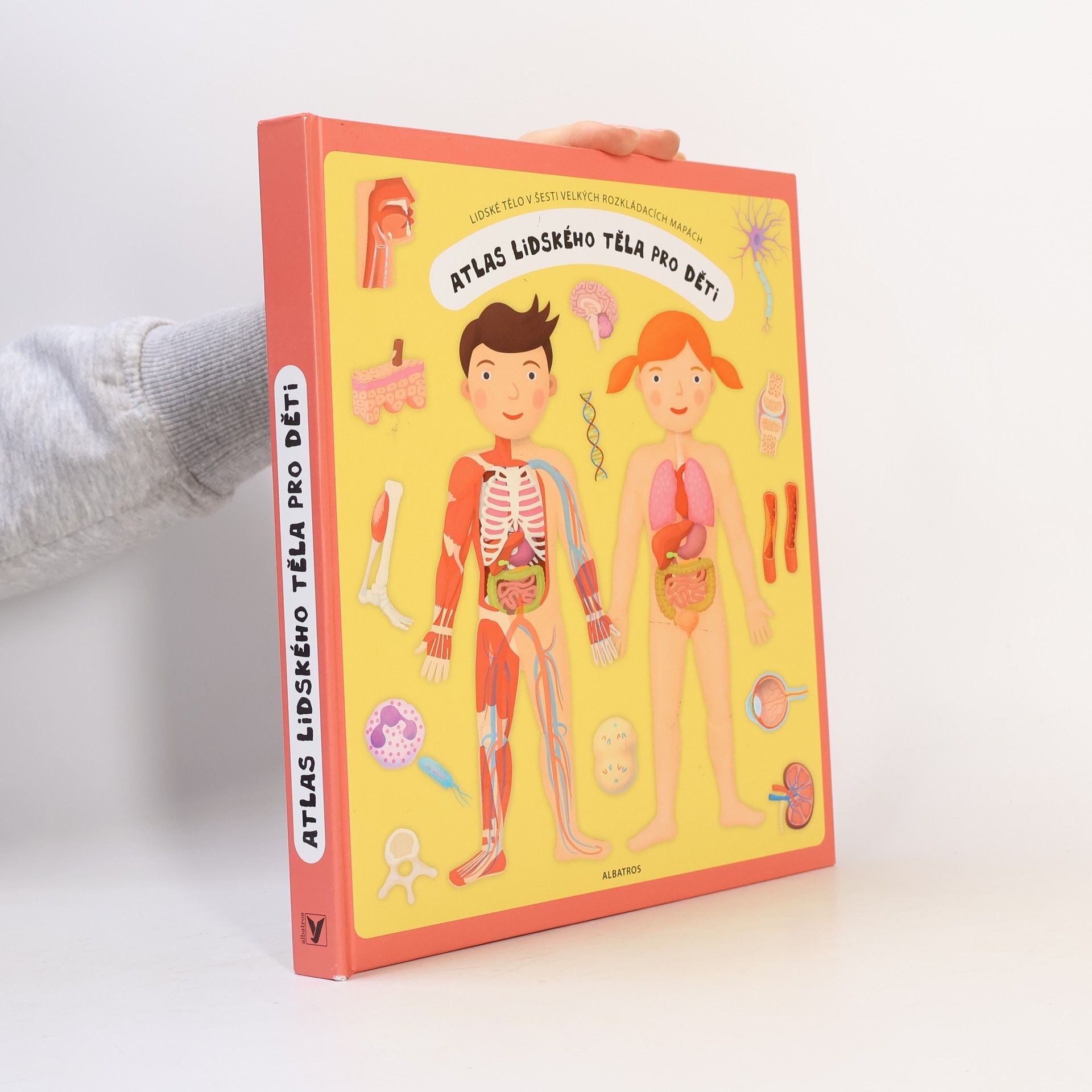 Oldřich Růžička Atlas lidského těla pro děti