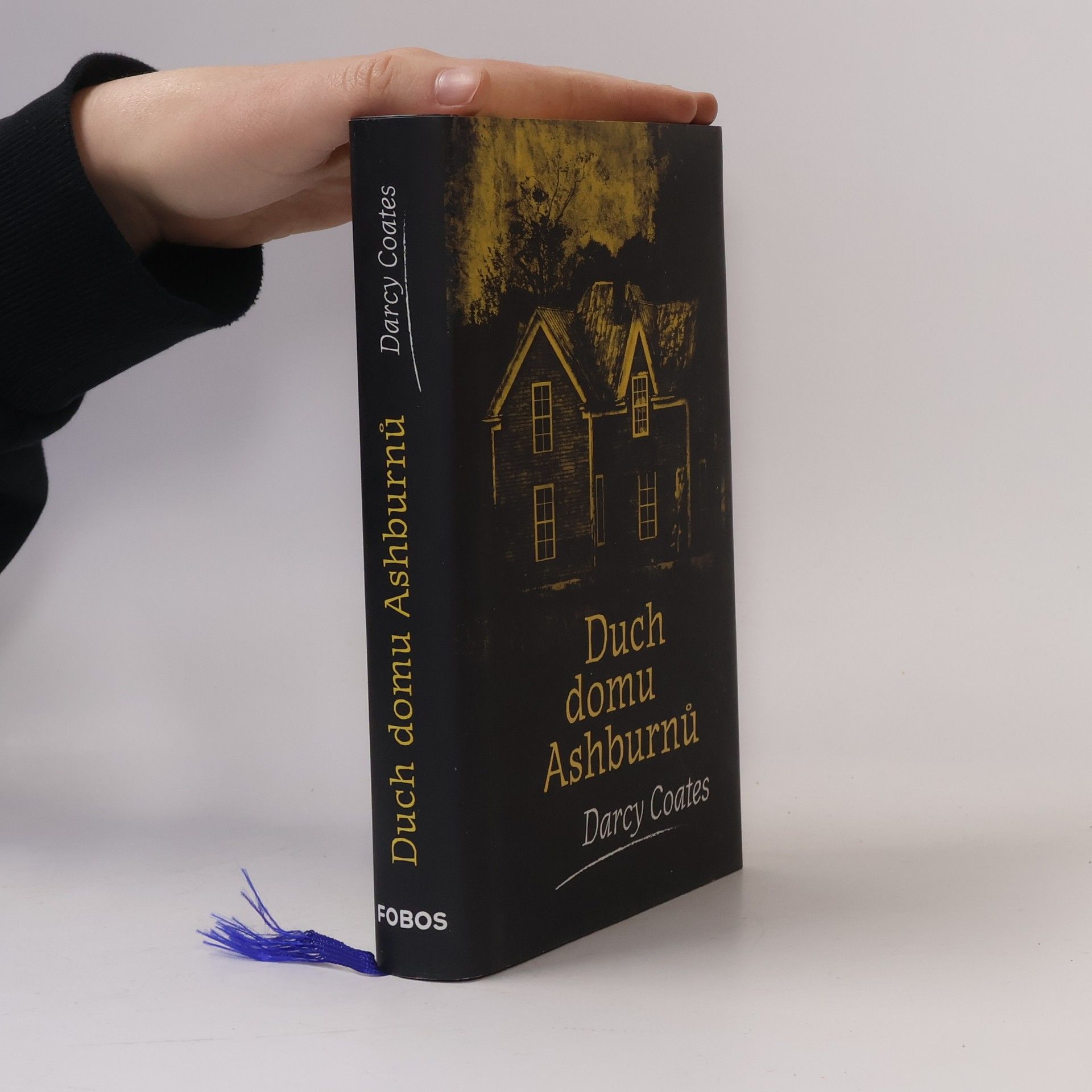 Darcy Coates Duch domu Ashburnů