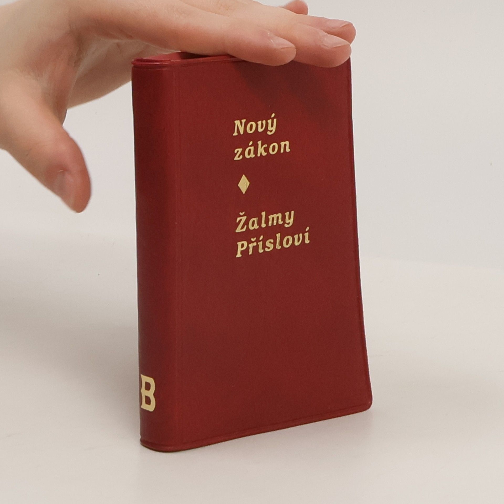 Autores varios Nový zákon