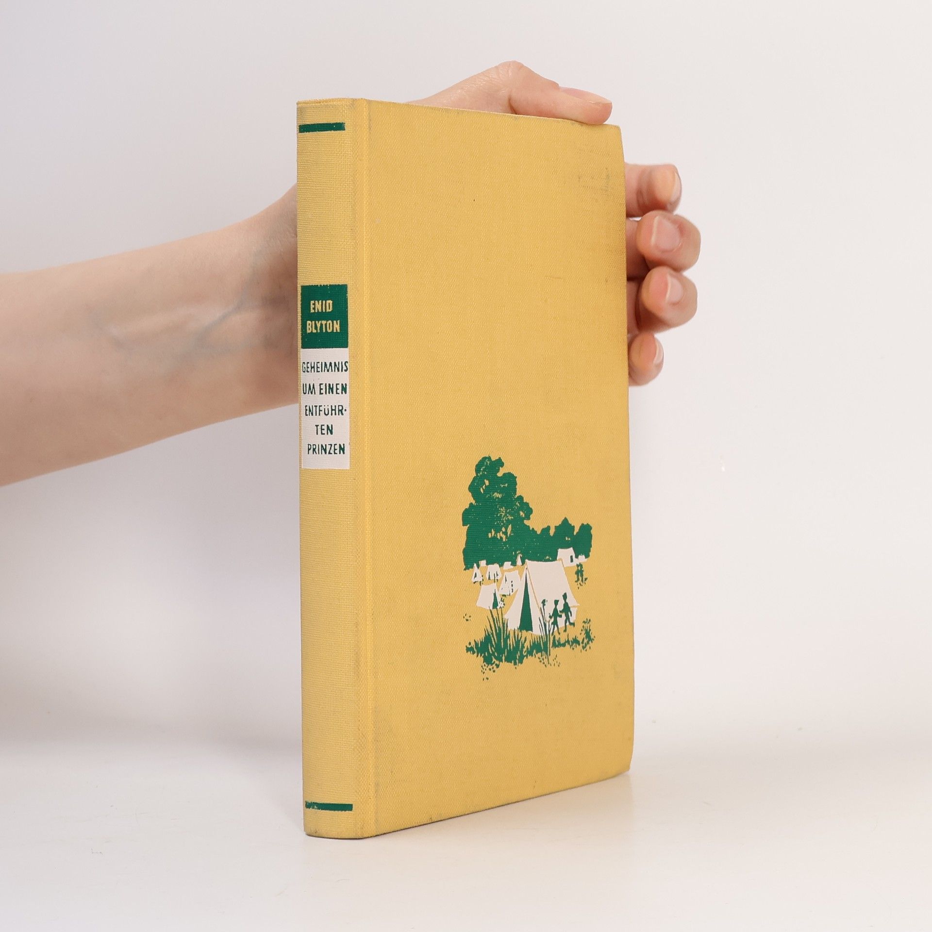 Enid Blyton Geheimnis um einen entführten Prinzen