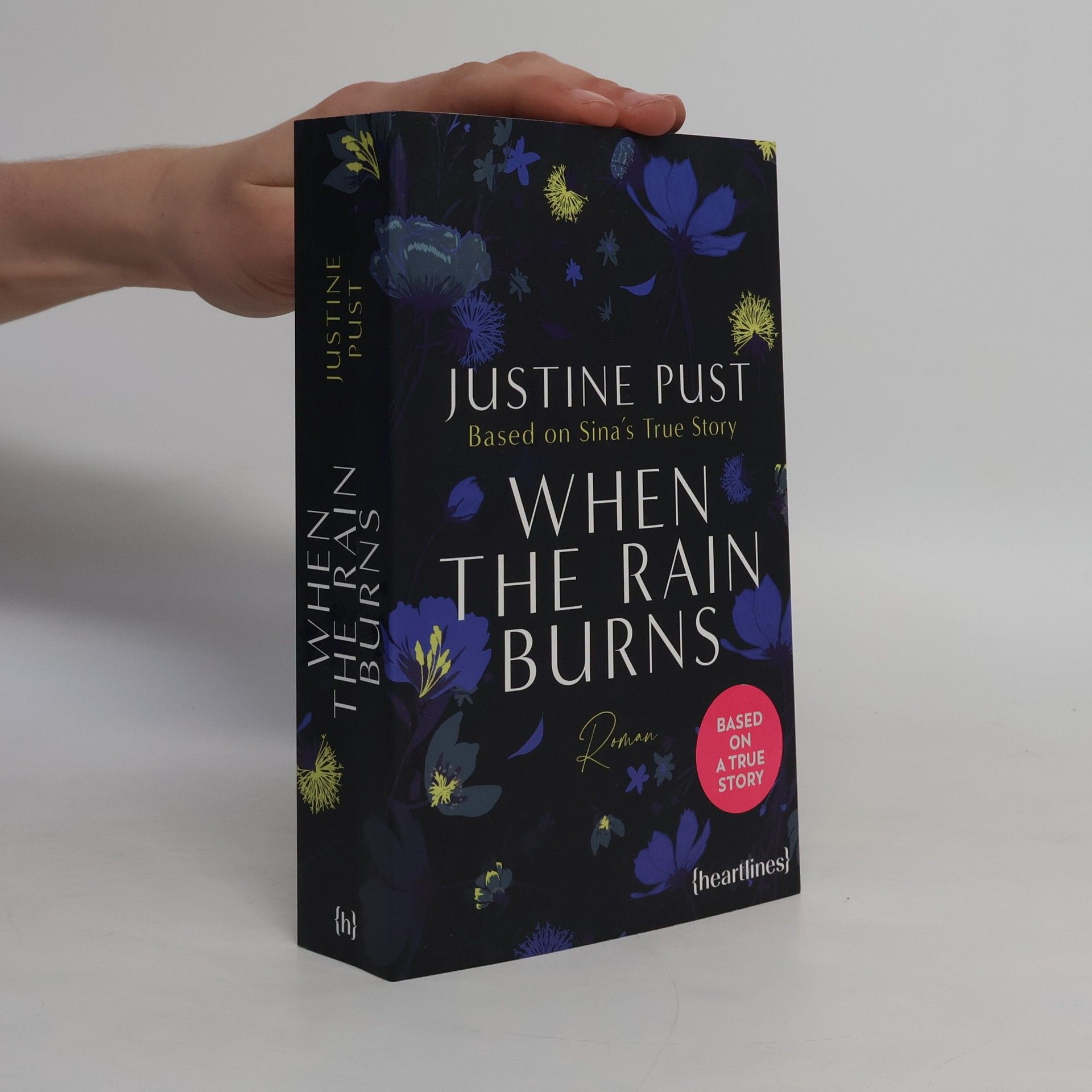 Justine Pust When the Rain Burns
