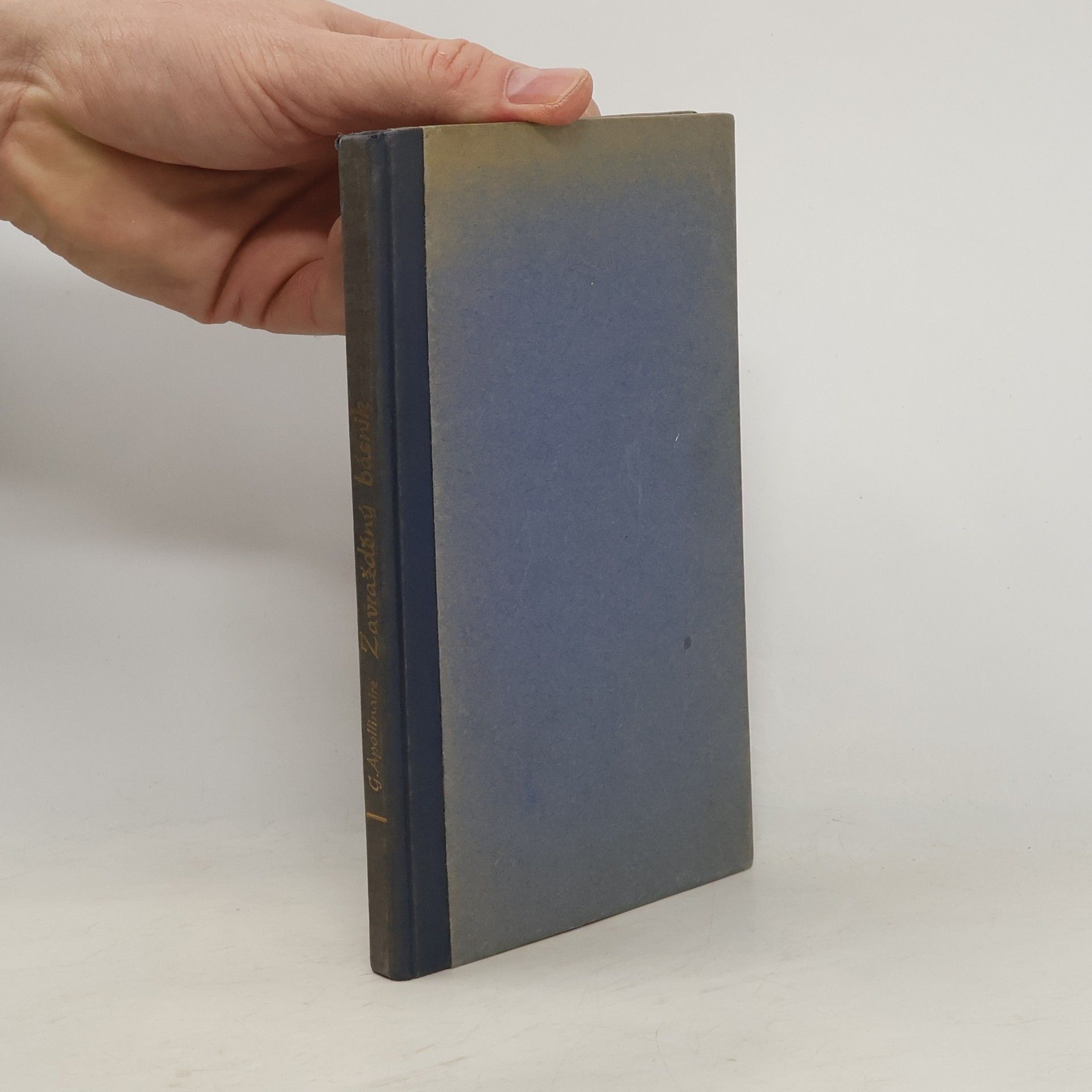 Guillaume Apollinaire Zavražděný básník : román