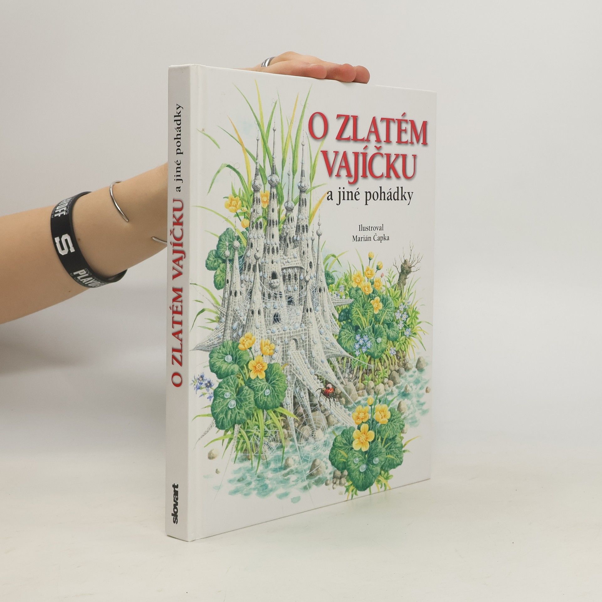 Marián Čapka O zlatém vajíčku a jiné pohádky