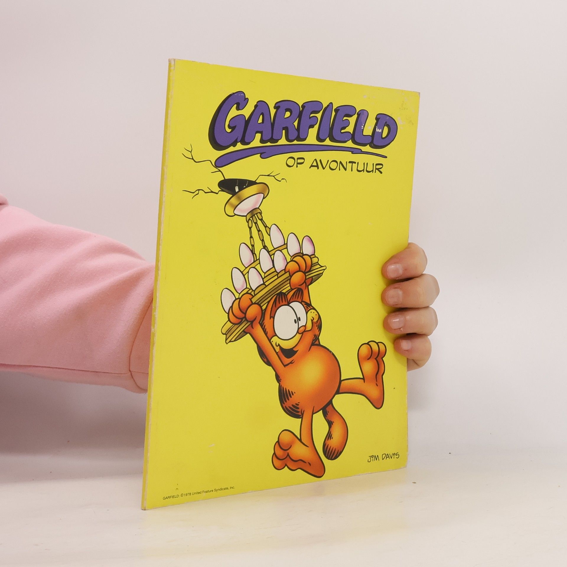 Jim Davis Garfield op avontuur