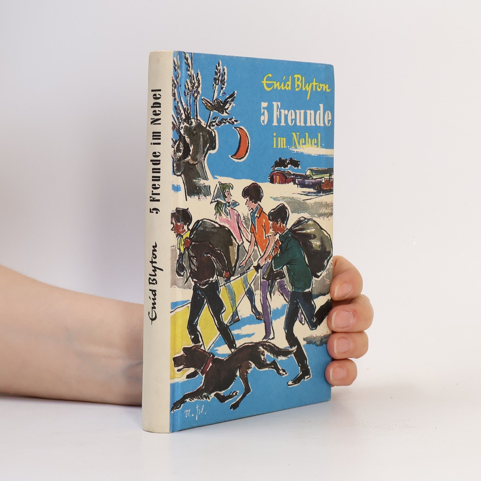 Enid Blyton 5 Freunde im Nebel