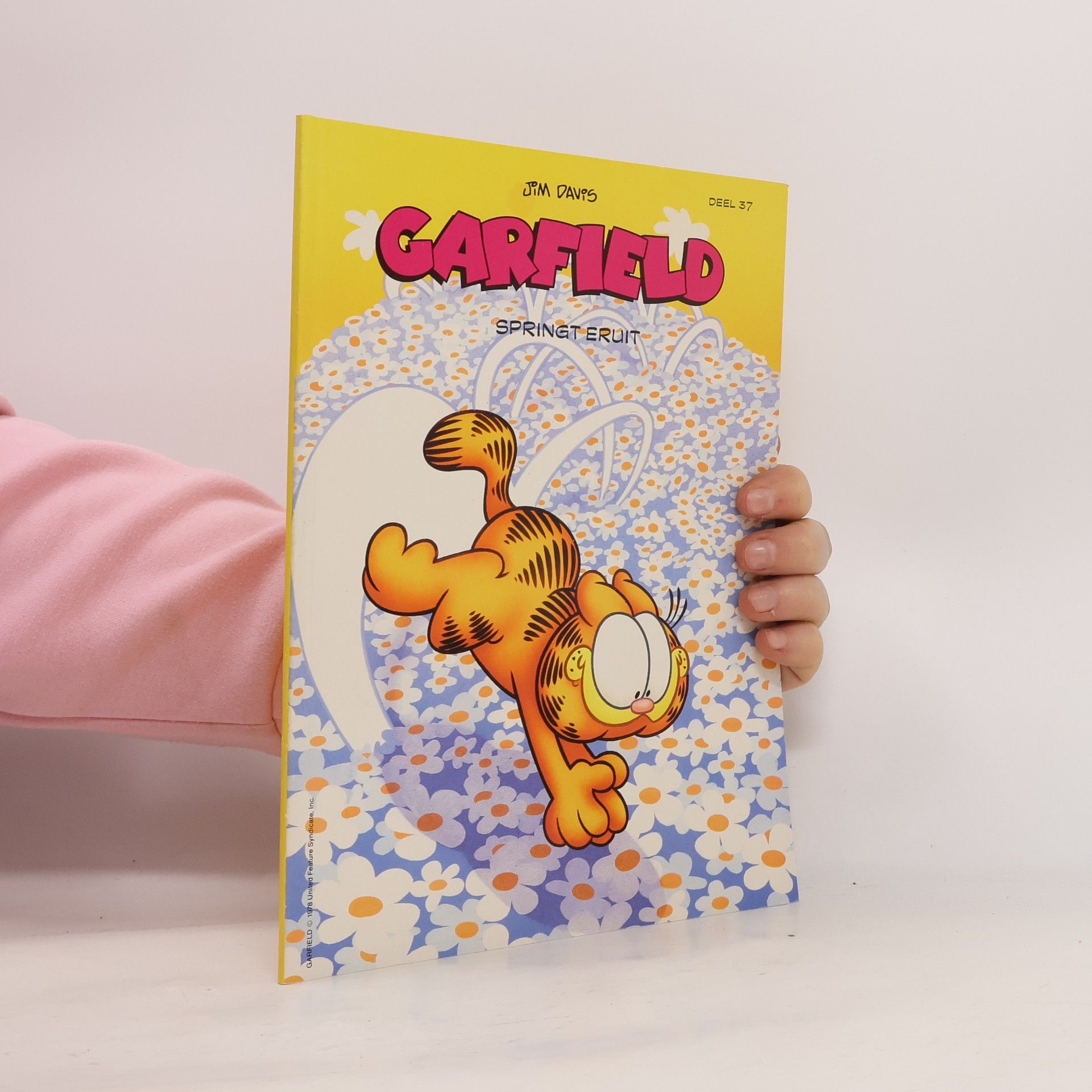 Jim Davis Garfield 37