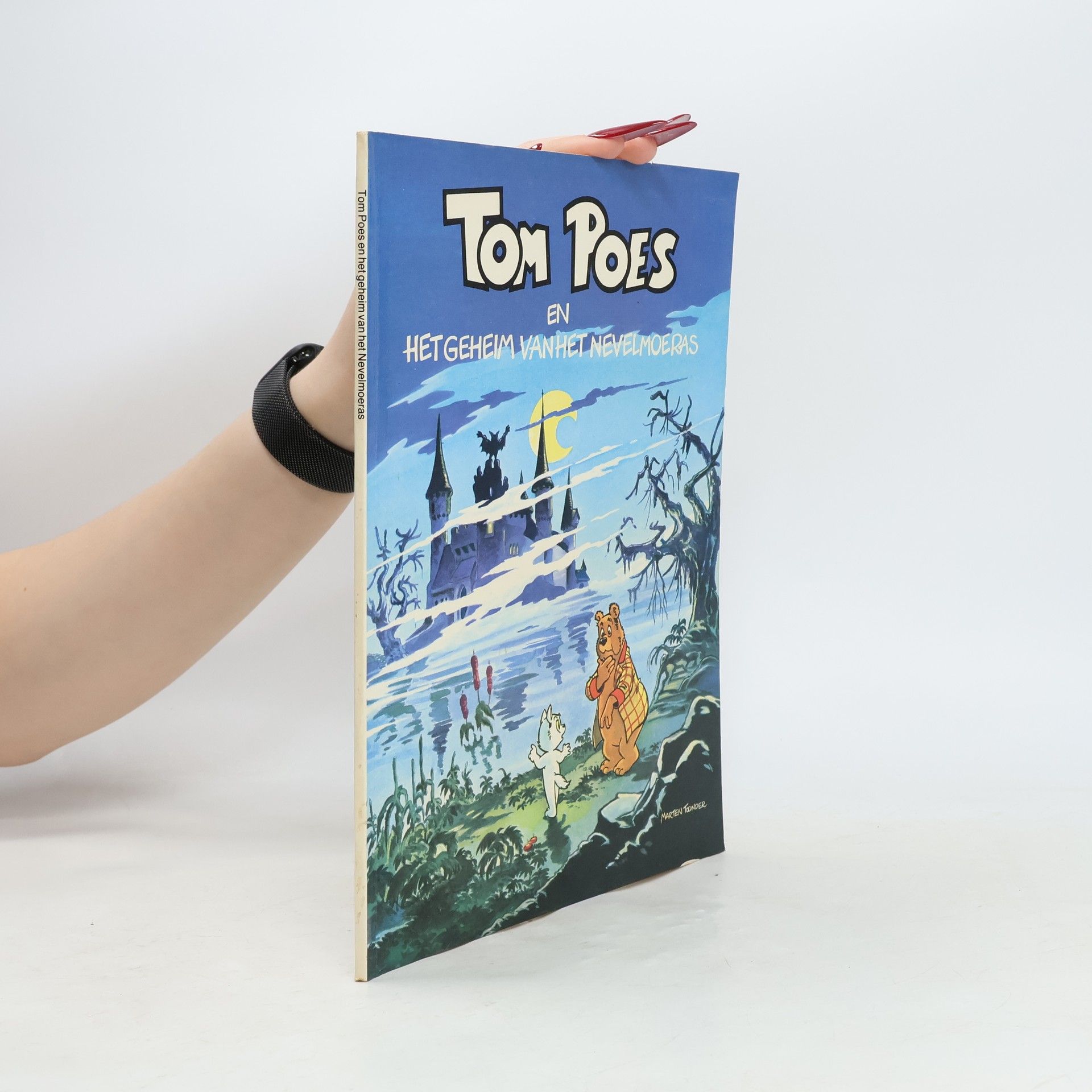 Tom Poes en heer Bommel - 16: Het geheim van het Nevelmoeras