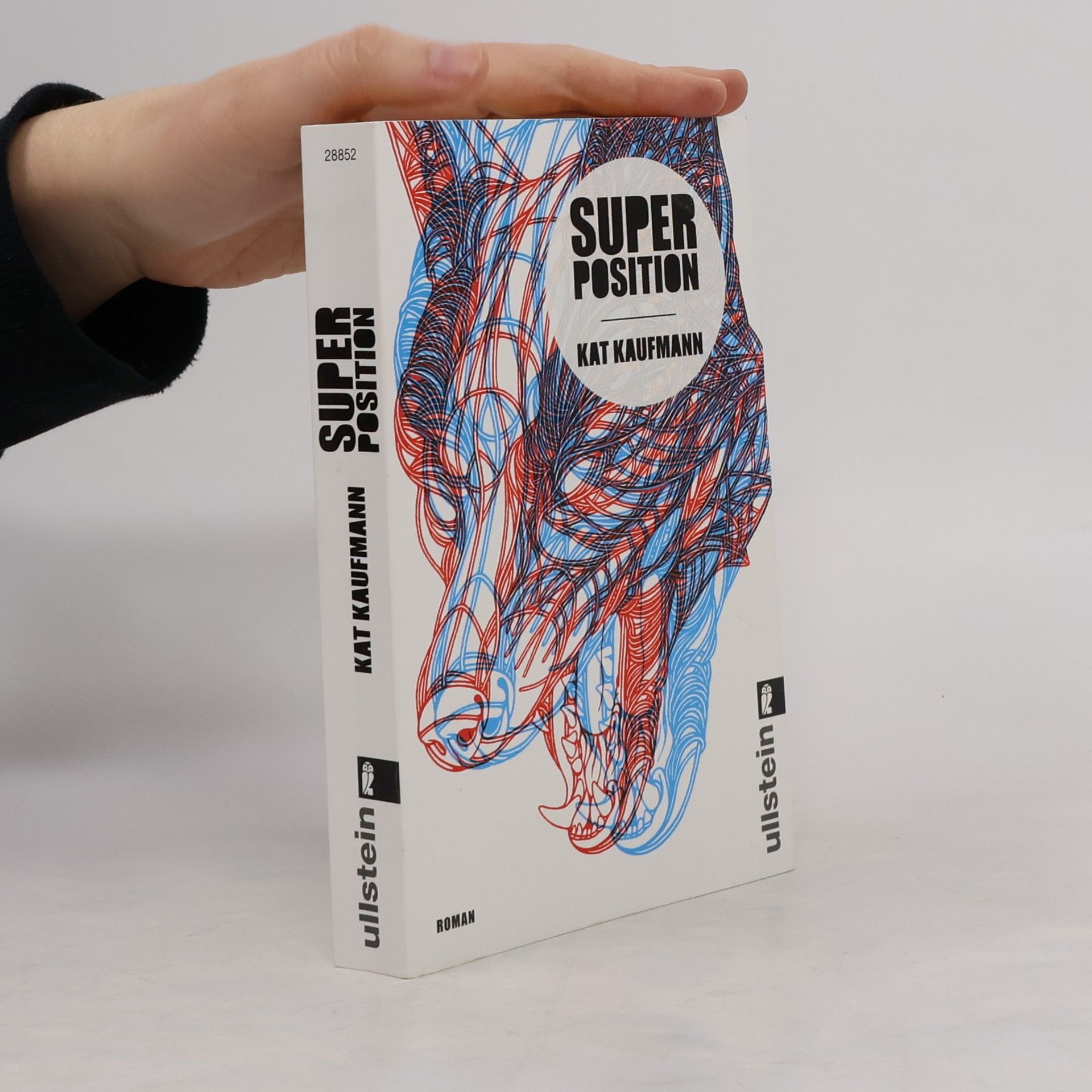 Kat Kaufmann Superposition