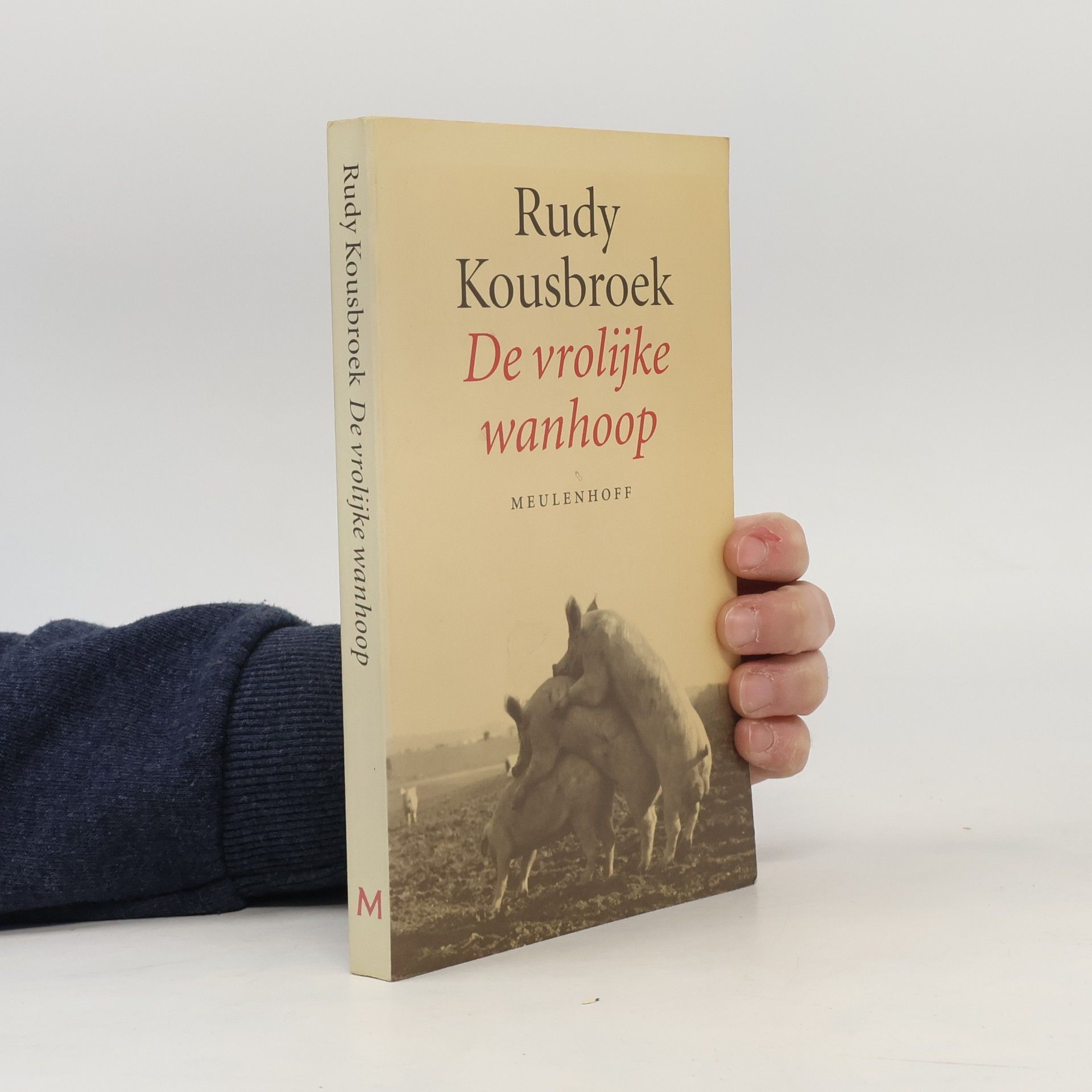 Rudy Kousbroek De vrolijke wanhoop