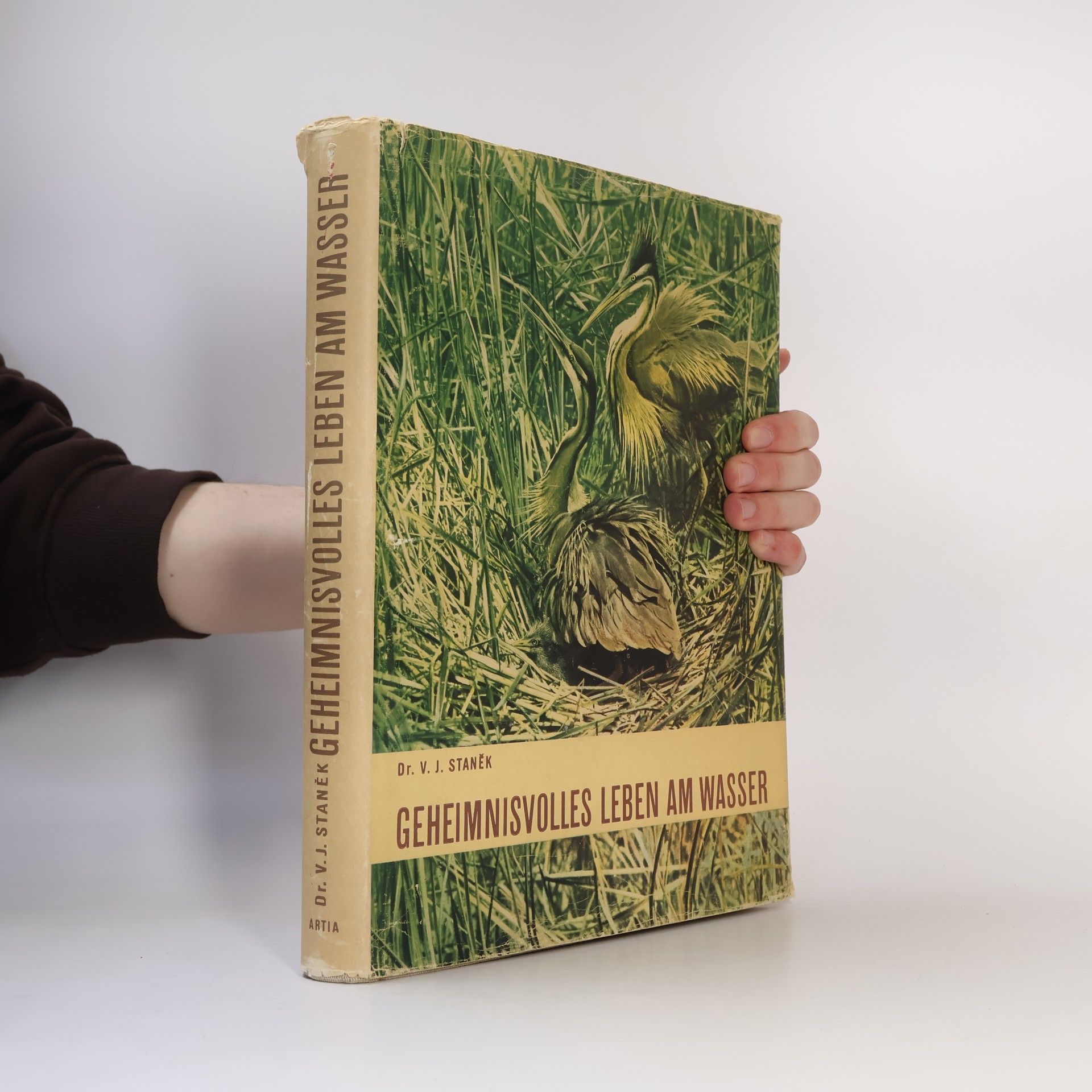 Václav Jan Staněk Geheimnisvolles Leben Am Wasser