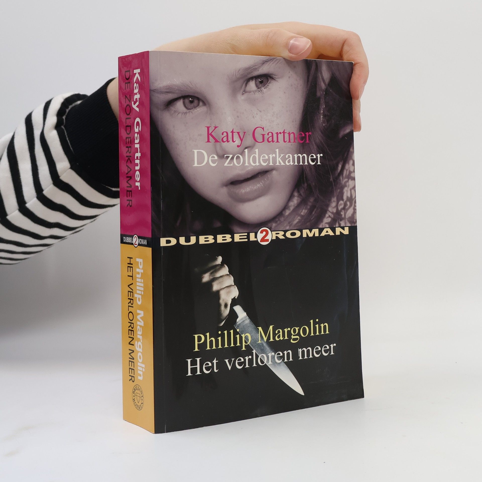 Zolderkamer-verloren meer / druk 1