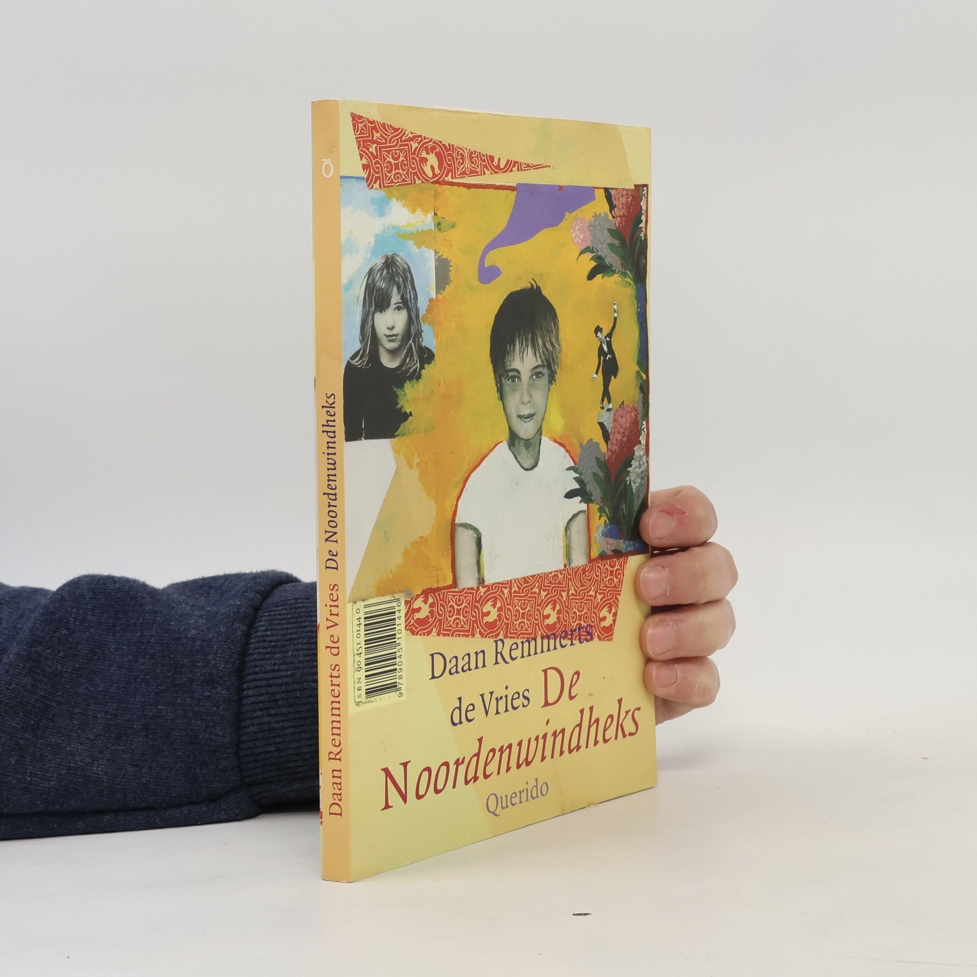 Daan Remmerts de Vries De Noordenwindheks