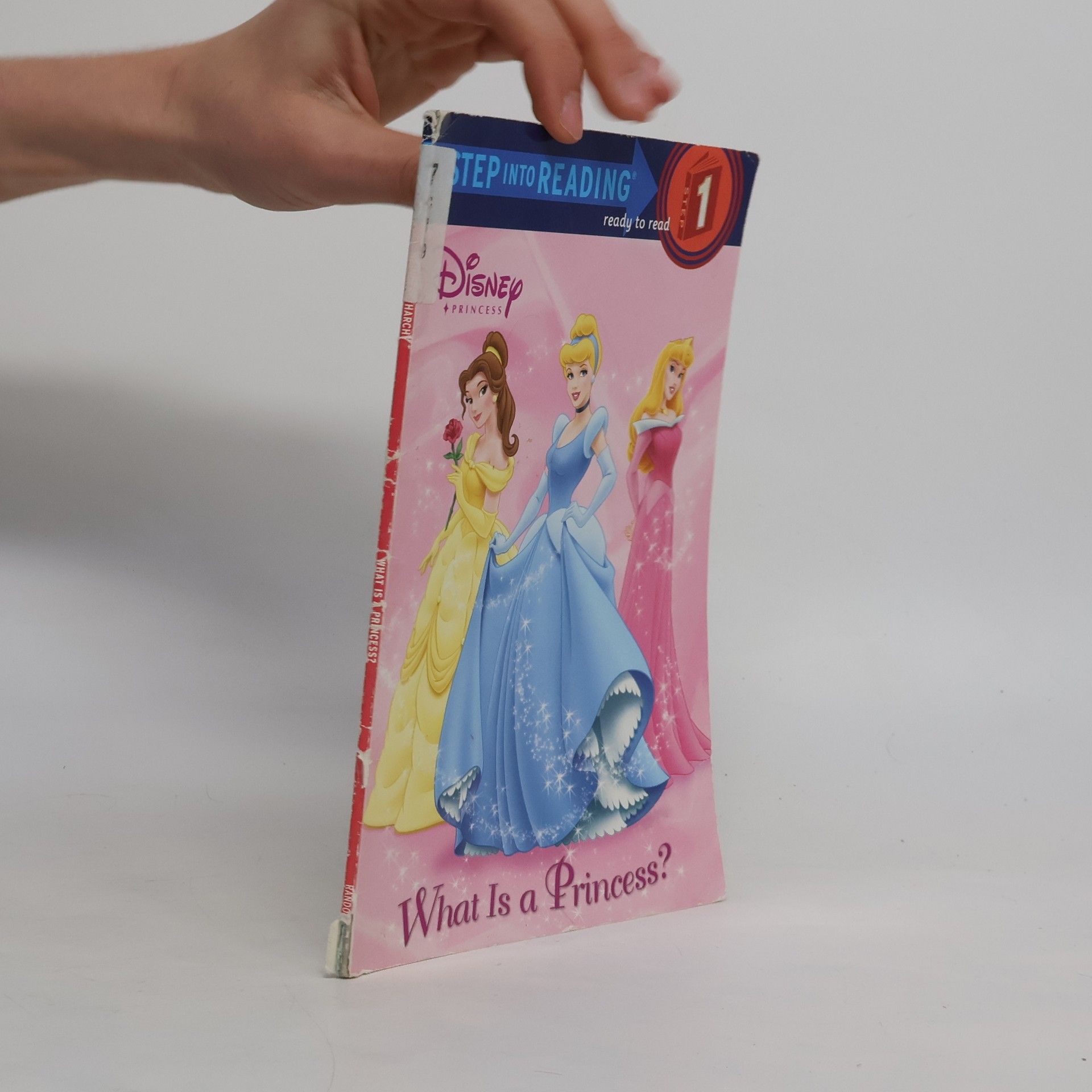 Disney Princess - 1: What Is a Princess?