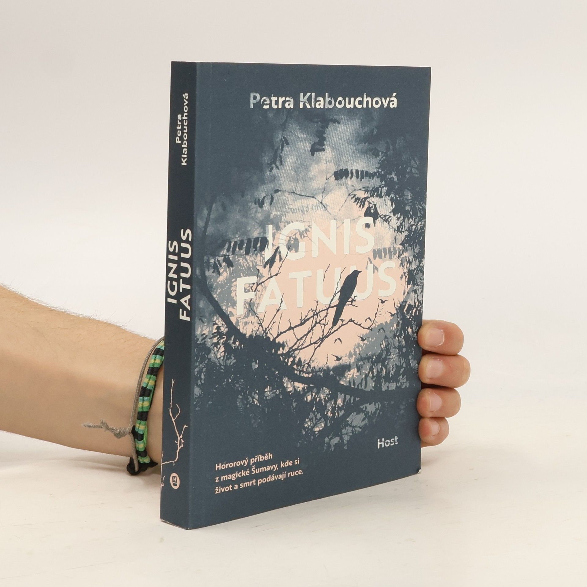 Petra Klabouchová Ignis fatuus