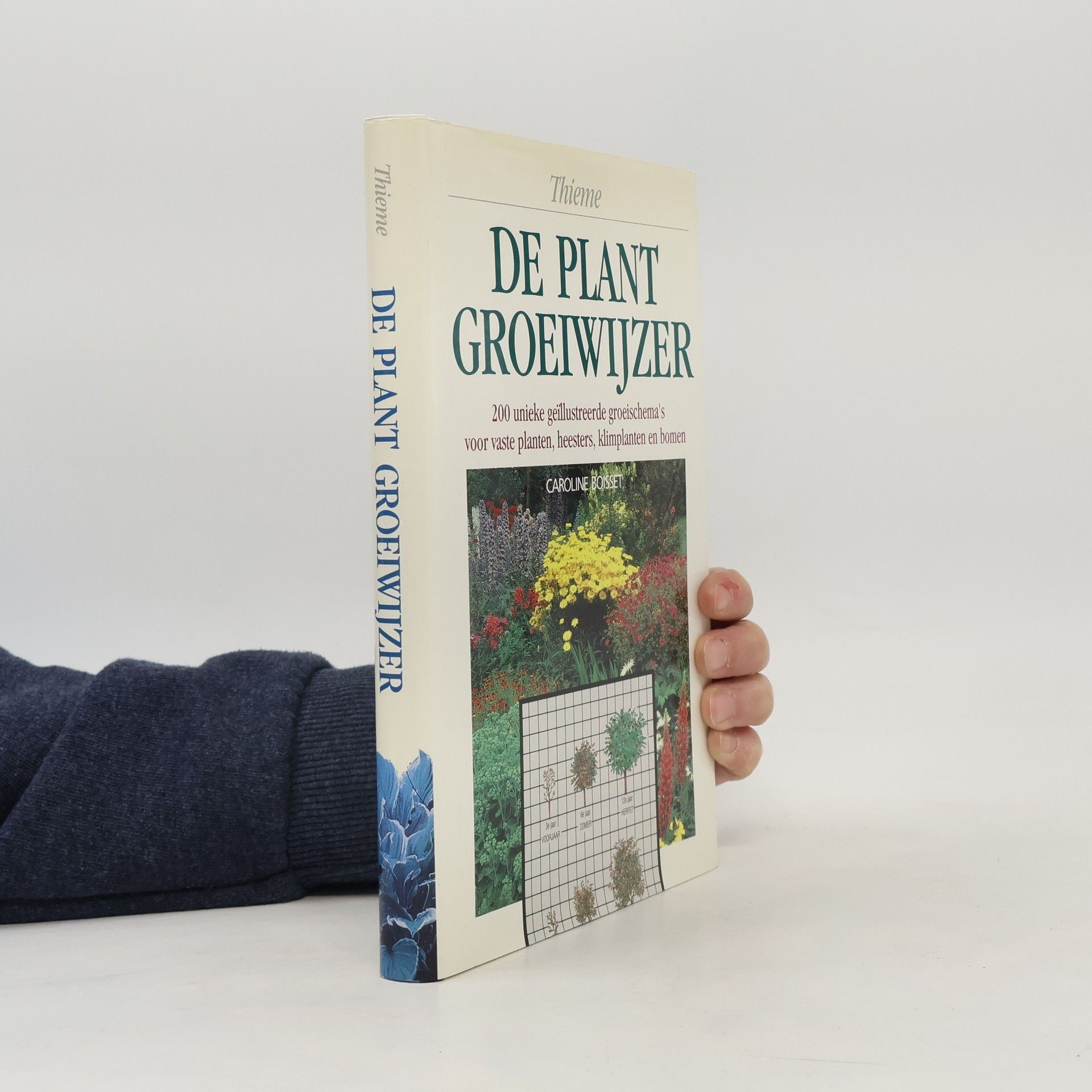De plant groeiwijzer
