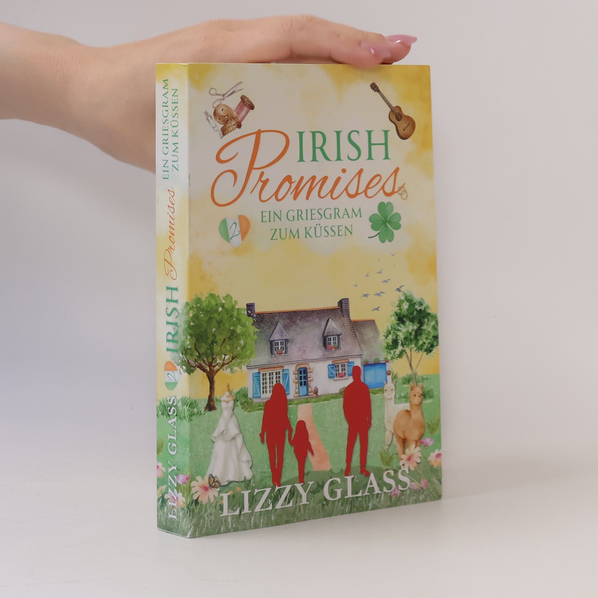 Lizzy Glass Irish Promises: Ein Griesgram zum Küssen