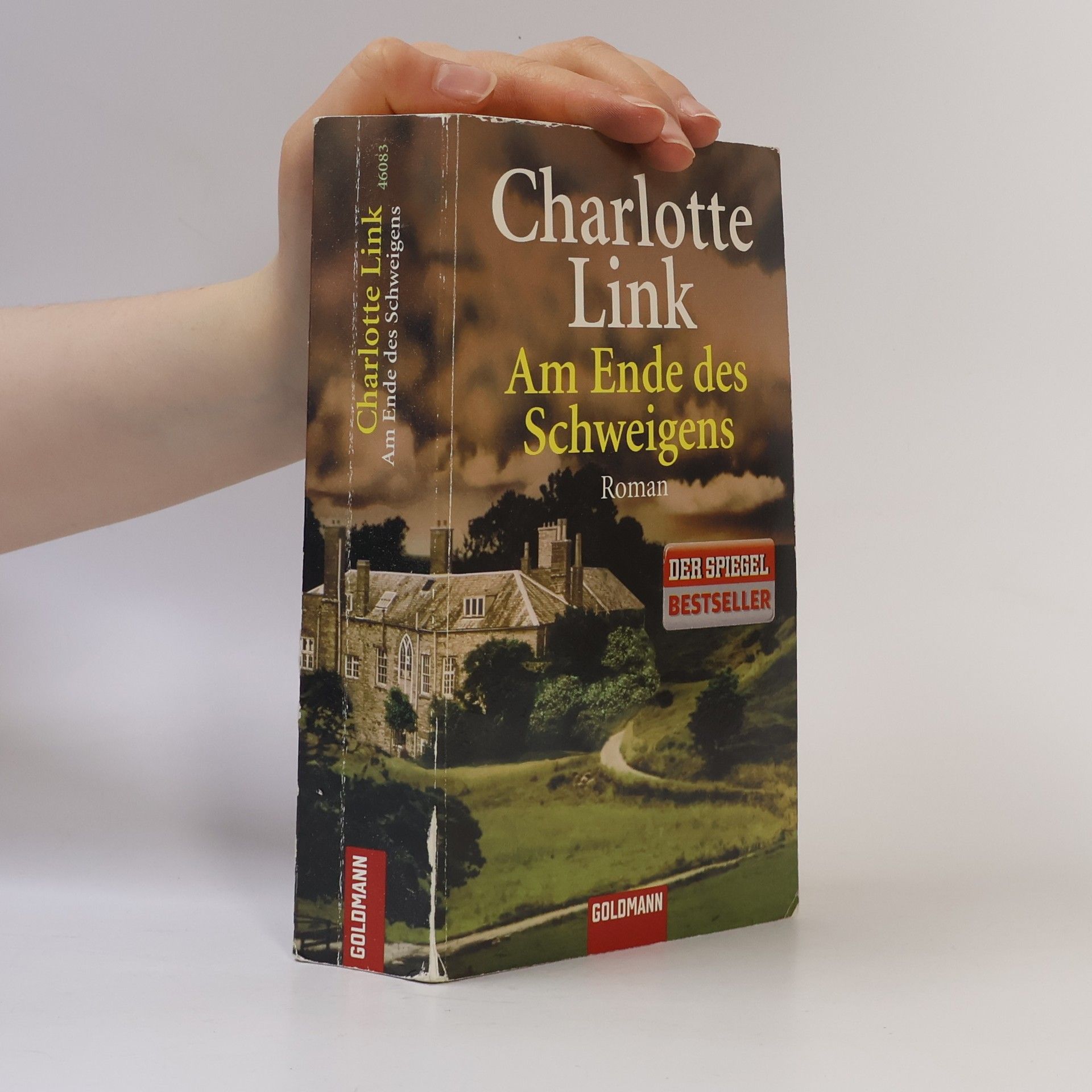 Charlotte Link Am Ende des Schweigens