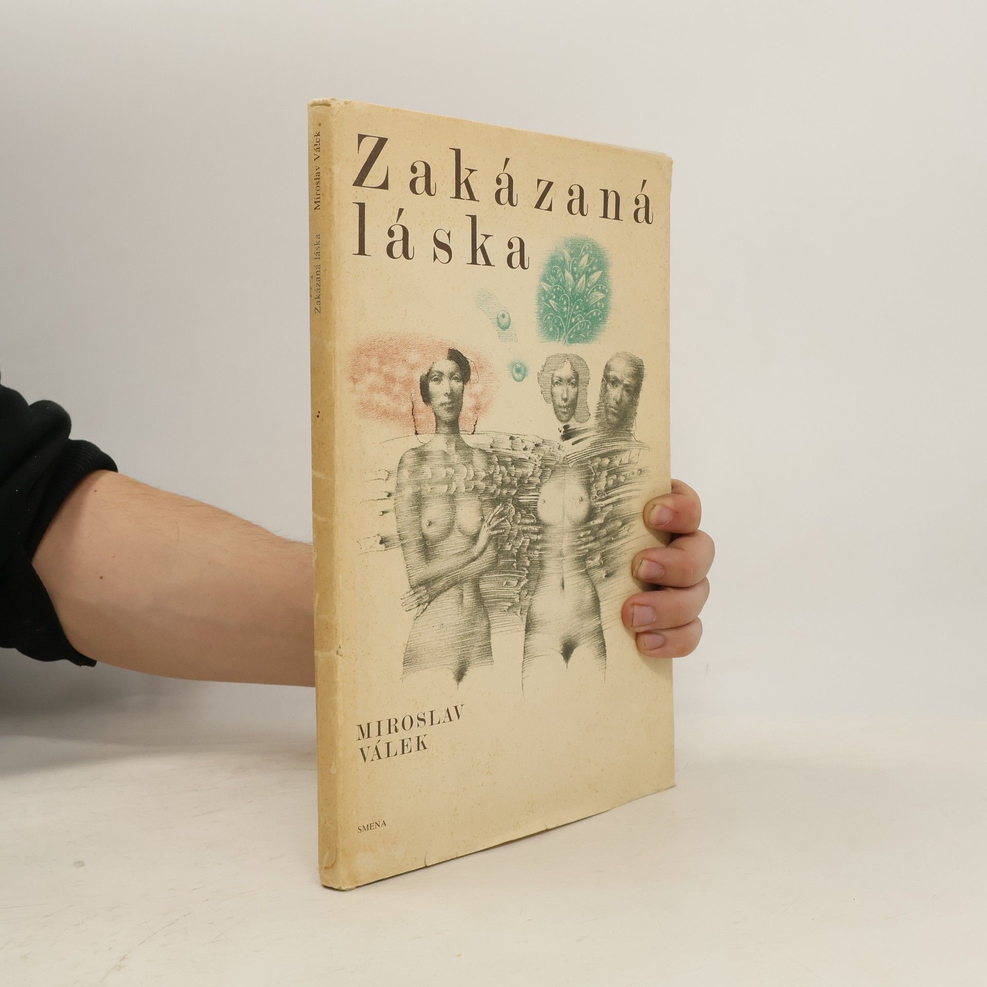 Miroslav Válek Zakázaná láska