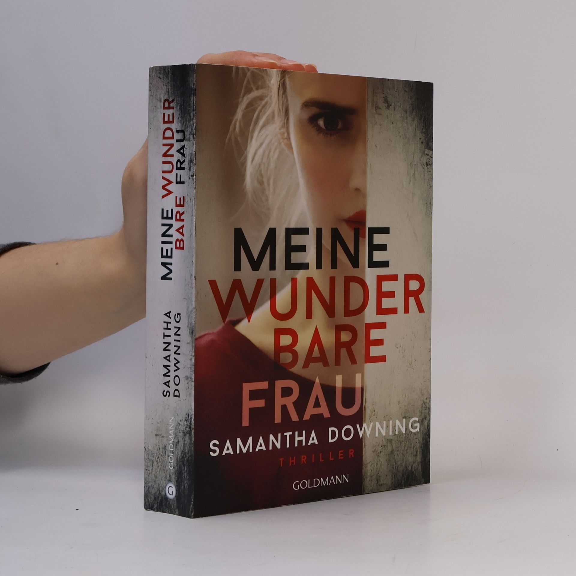 Samantha Downing Meine wunderbare Frau