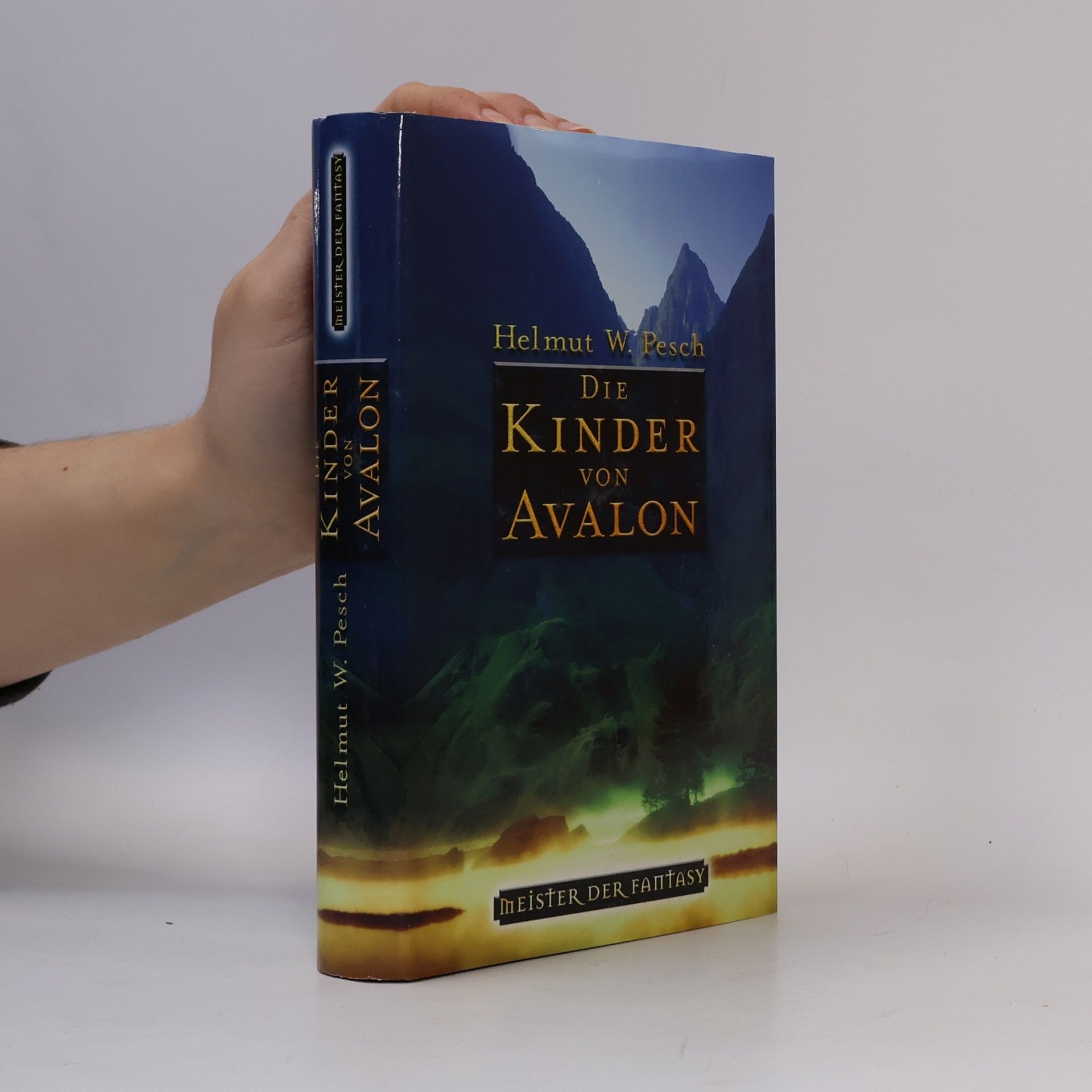 Die Kinder von Avalon