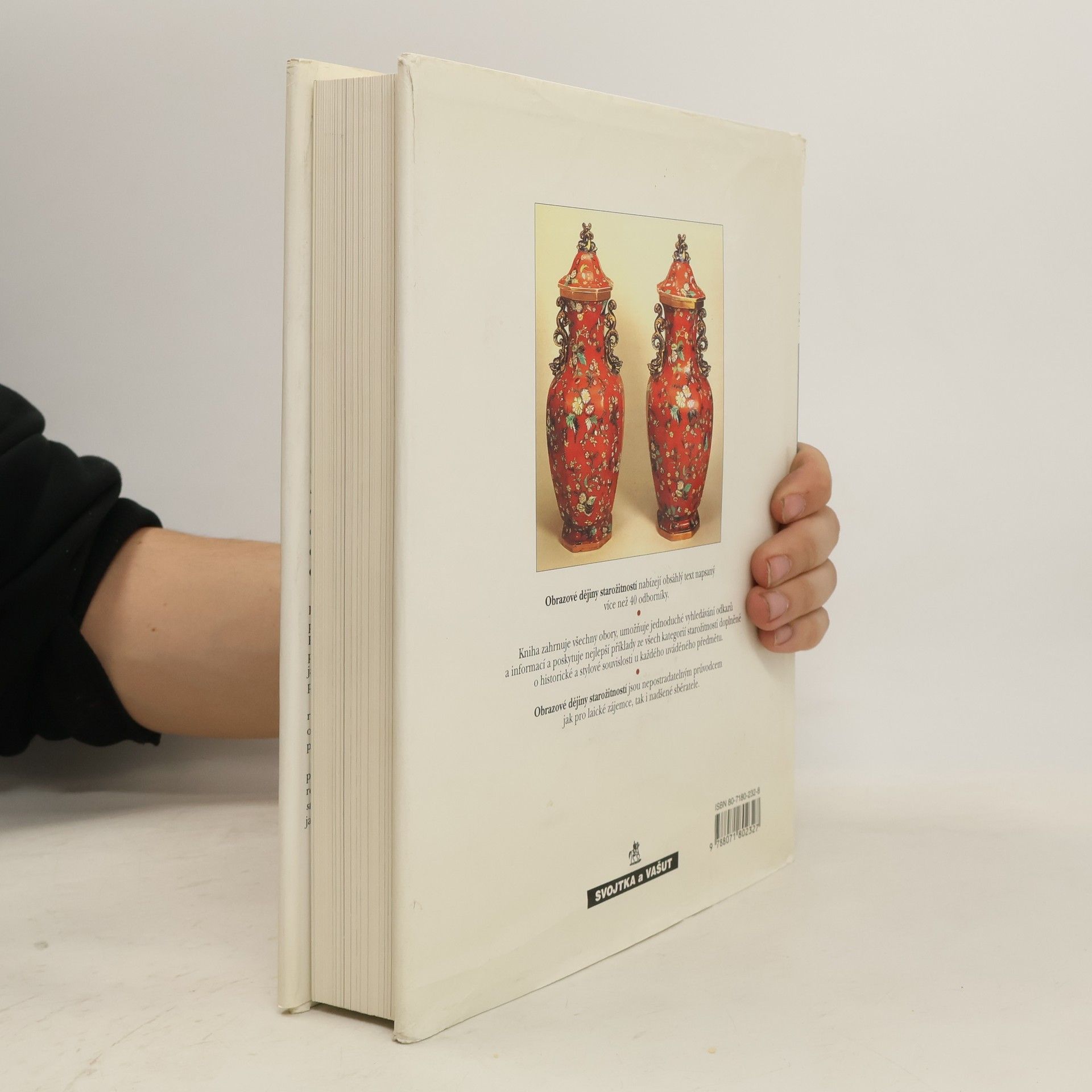 Various authors Obrazové dějiny starožitností