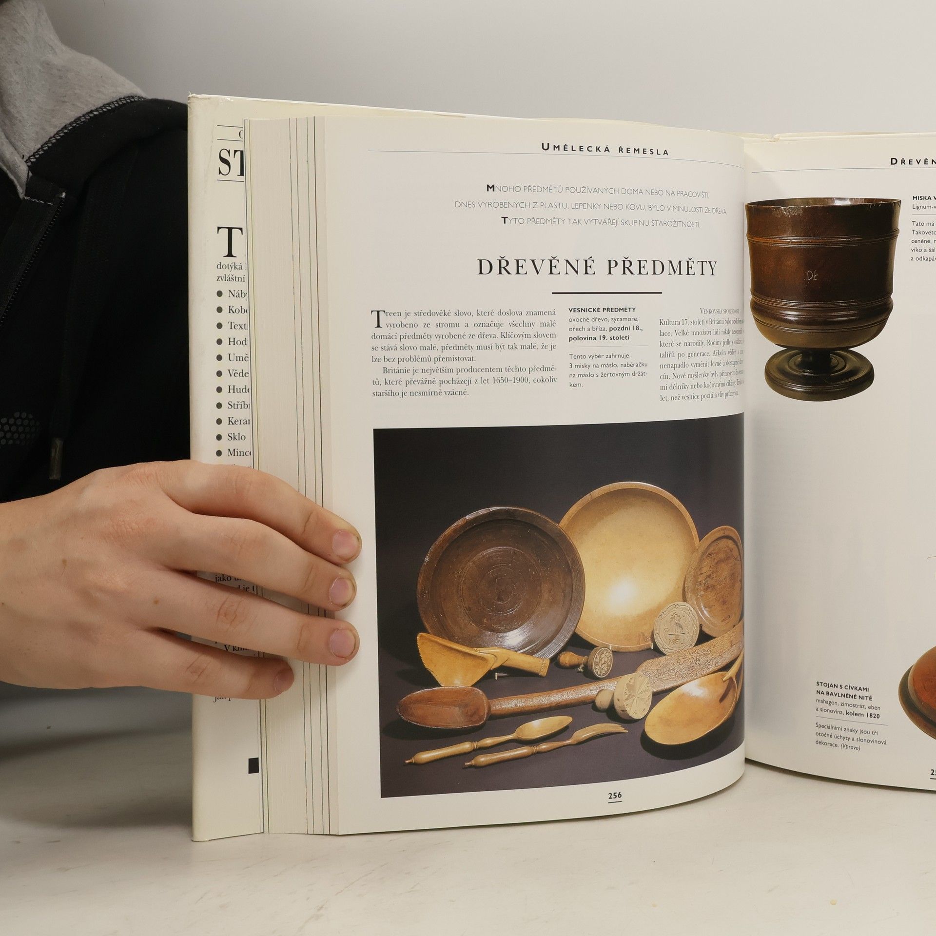 Various authors Obrazové dějiny starožitností