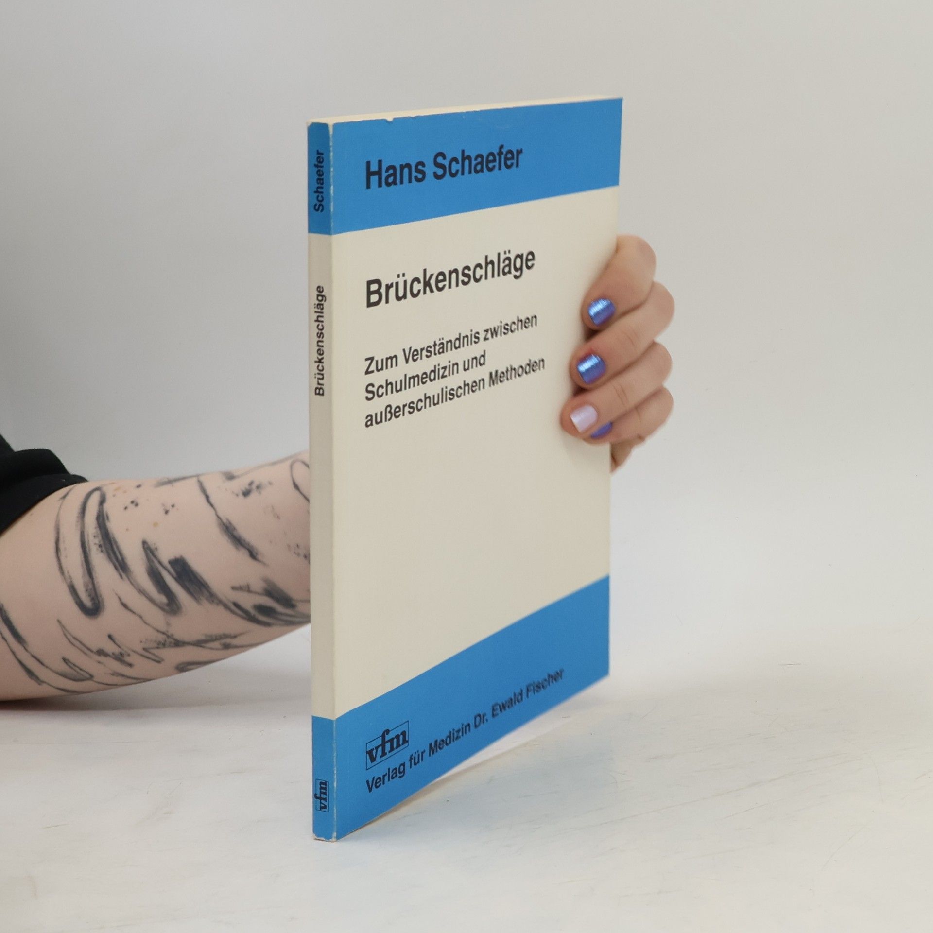 Hans Schaefer Brückenschläge