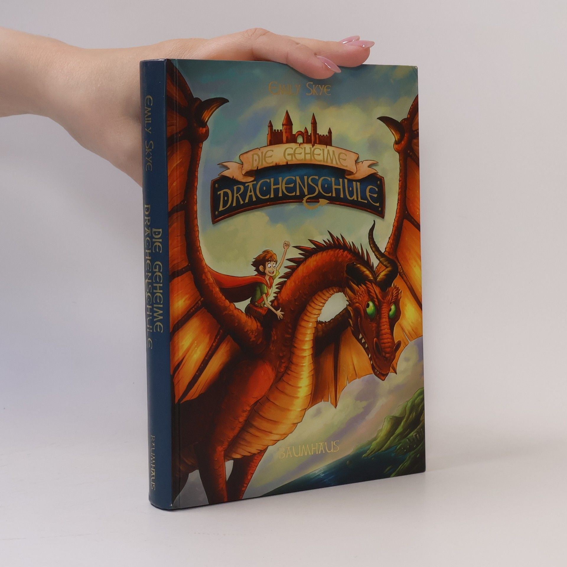 Emily Skye Die geheime Drachenschule