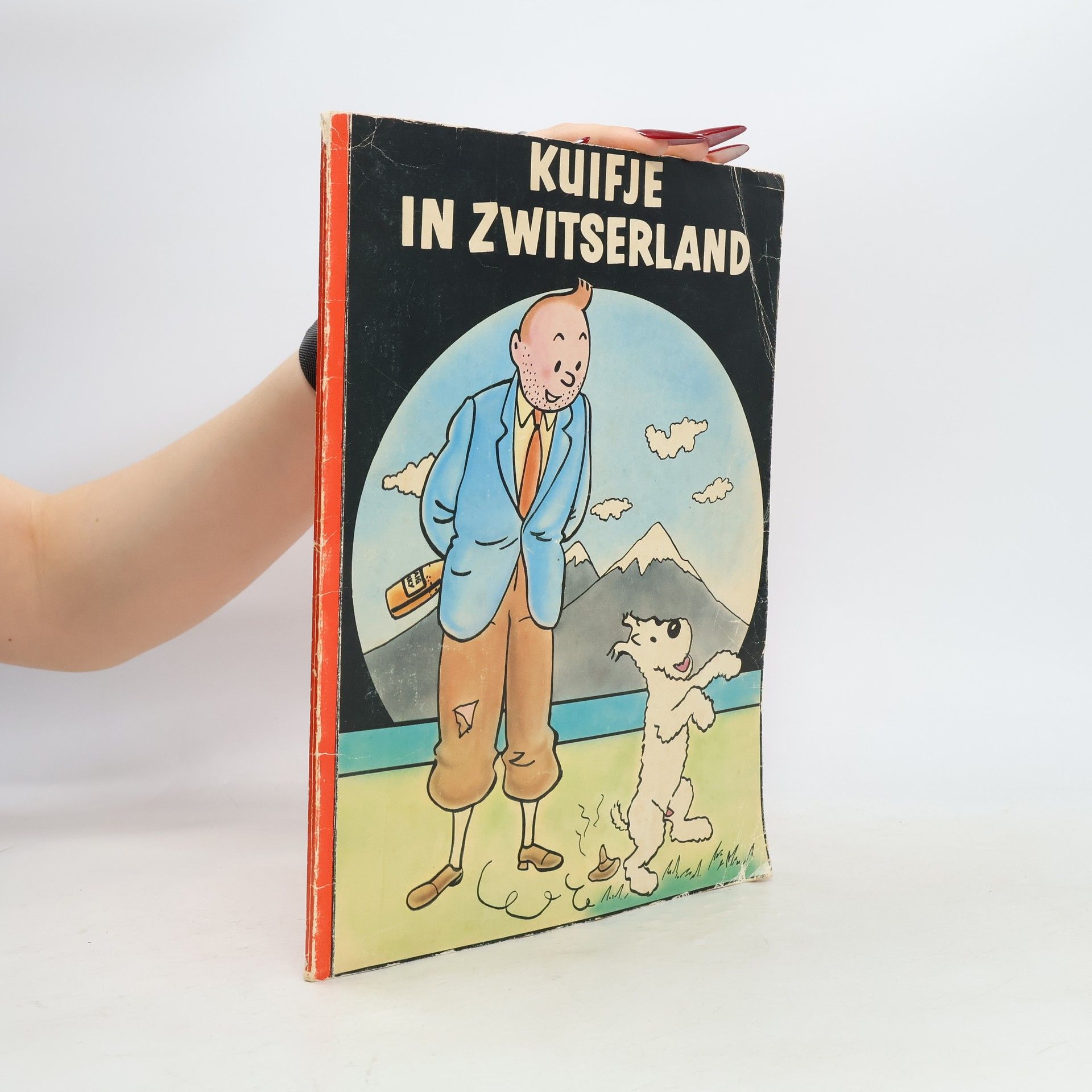 Collectif d'auteurs Kuifje in Zwitserland