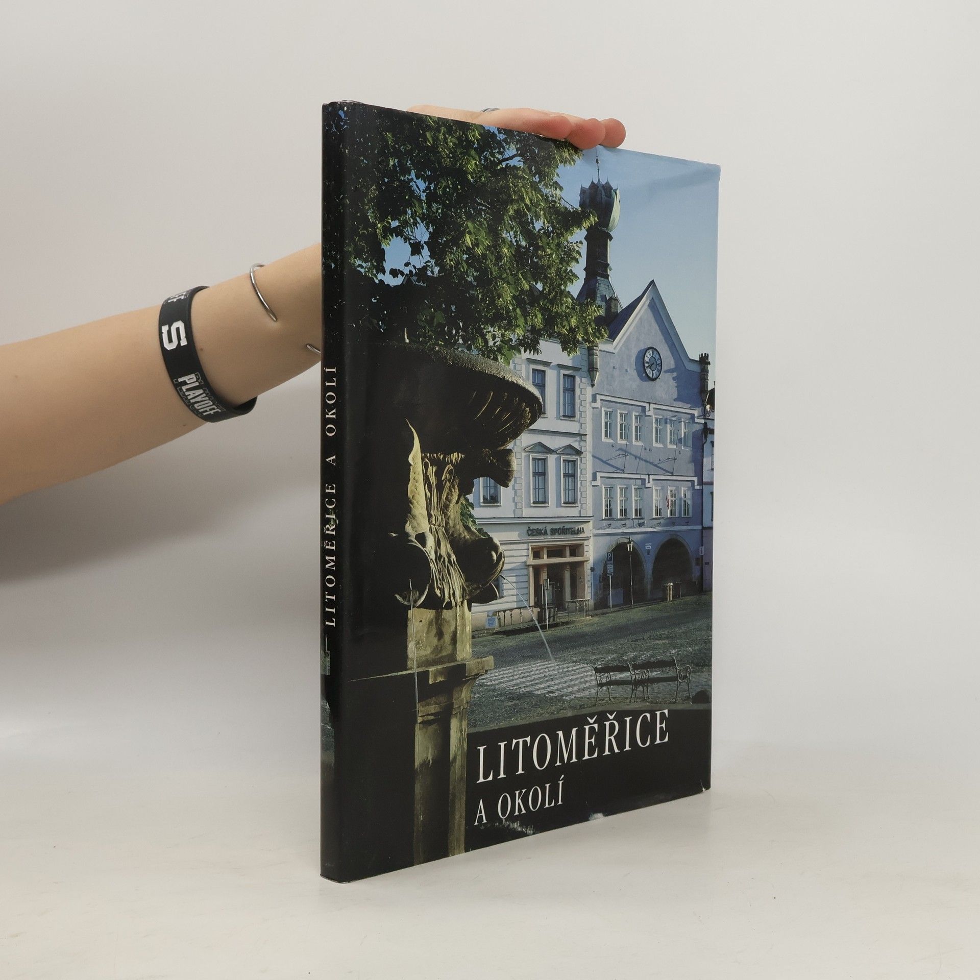 Collectif d'auteurs Litoměřice a okolí