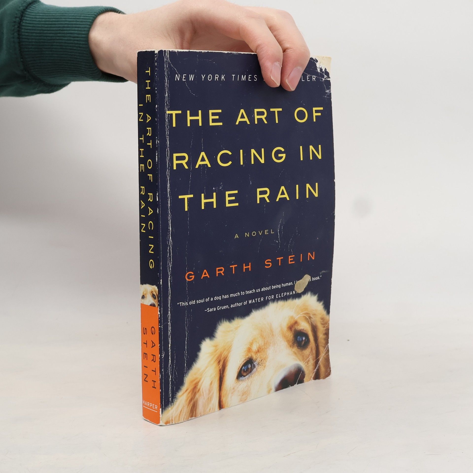 Garth Stein The Art of Racing in the Rain