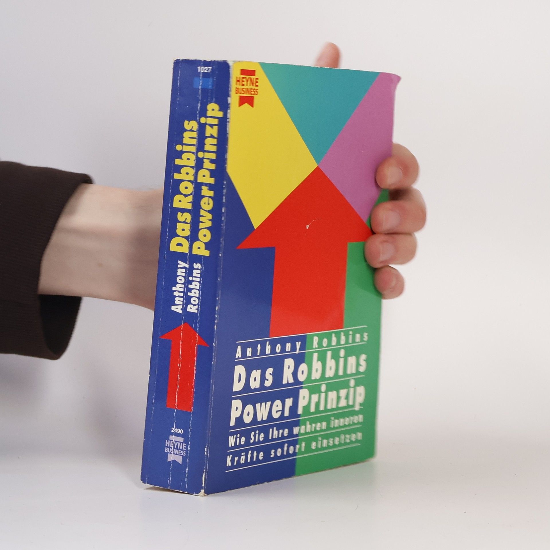 Anthony Robbins Das Robbins-Power-Prinzip